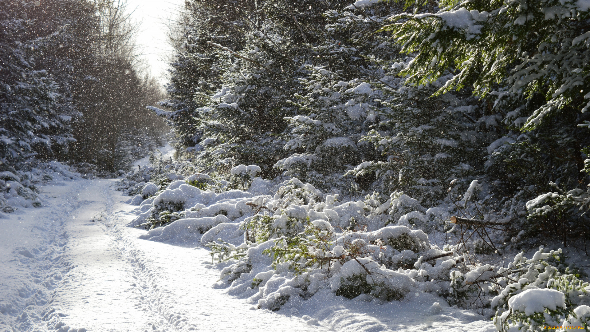 природа, зима, простор