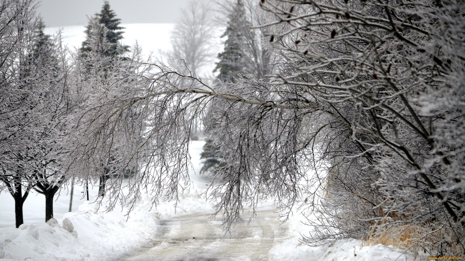 природа, зима, простор