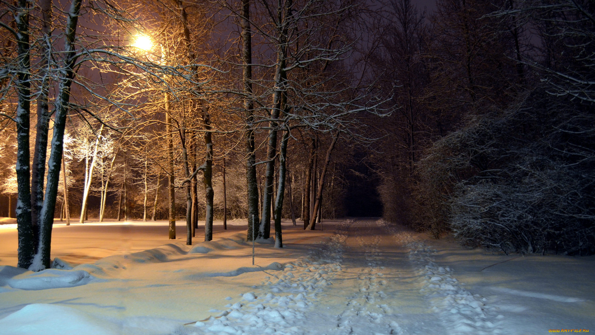 природа, зима, простор