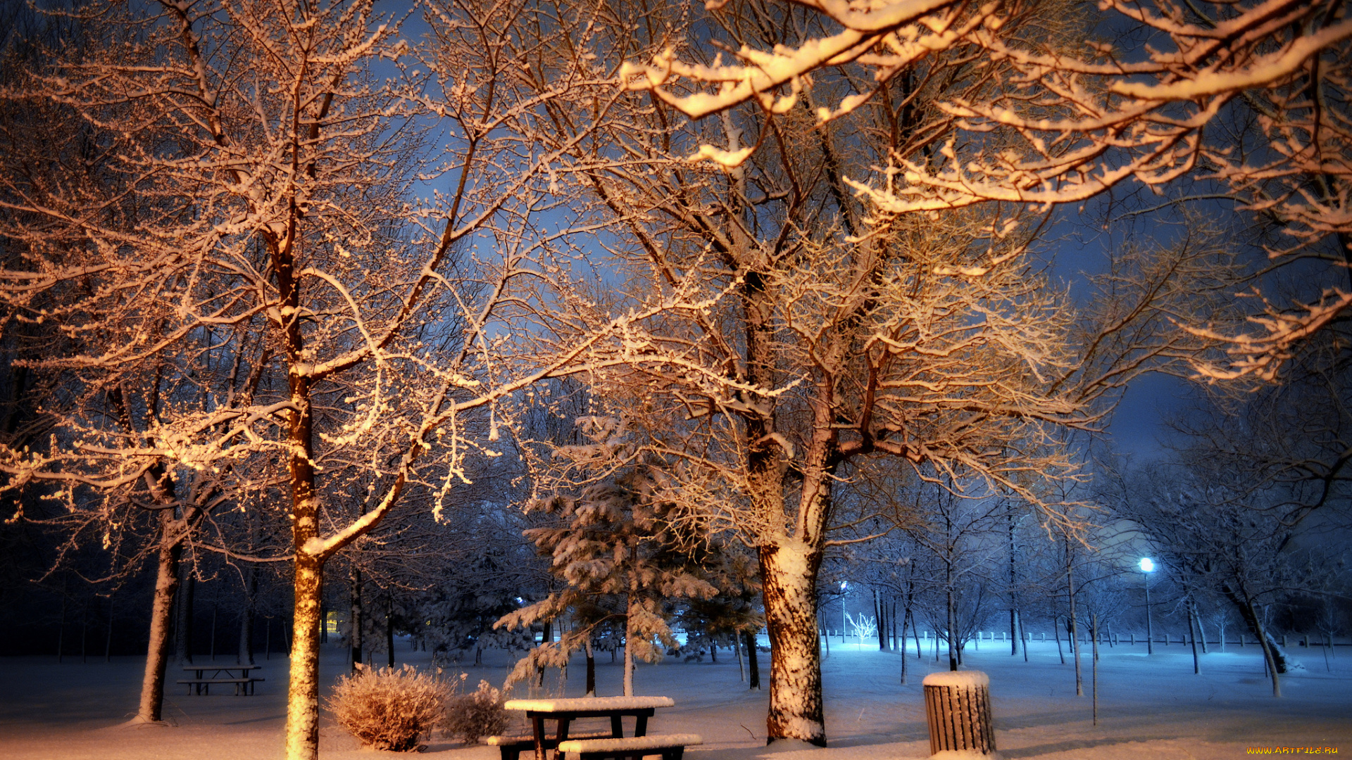 природа, зима, простор