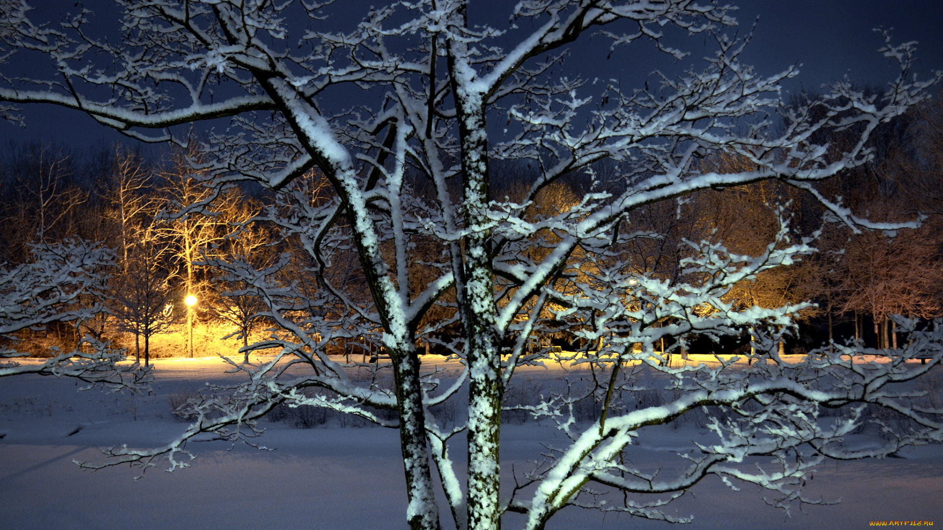 природа, зима, простор