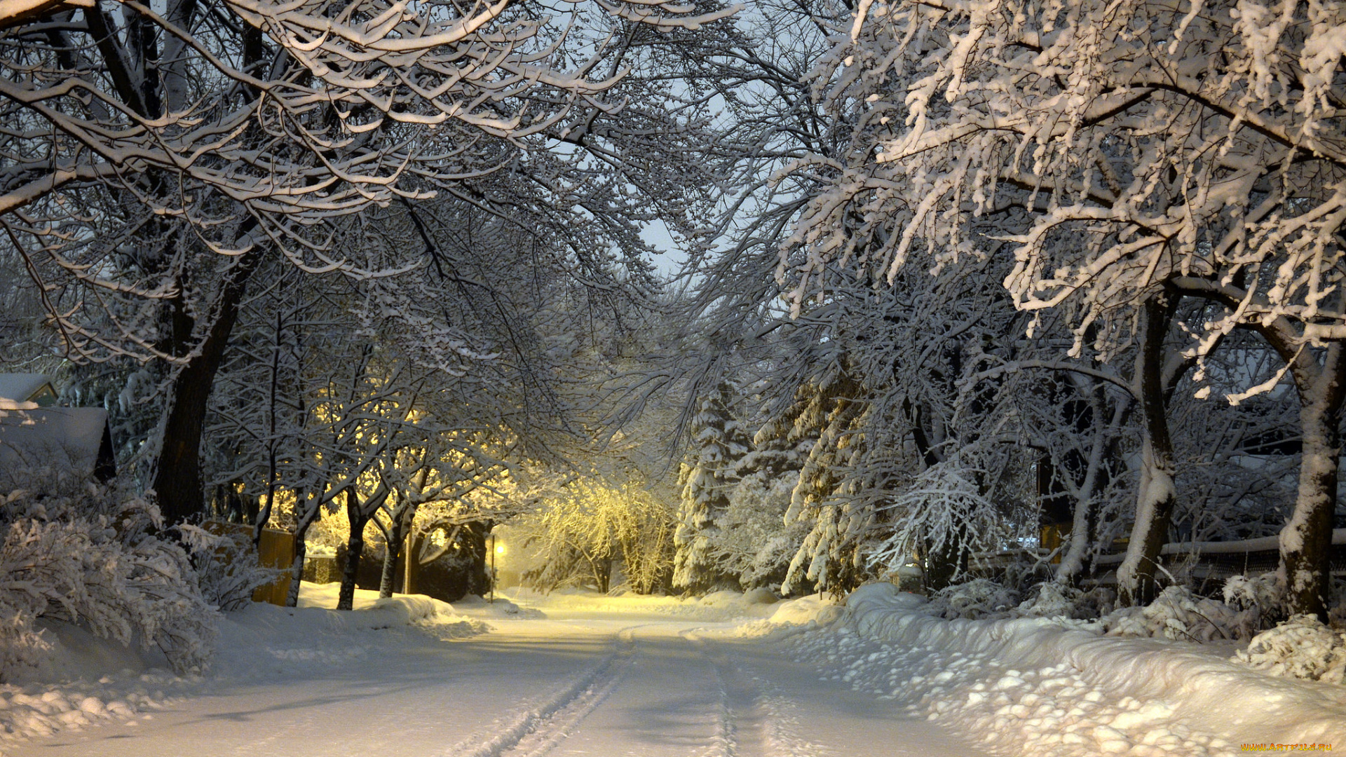 природа, зима, простор