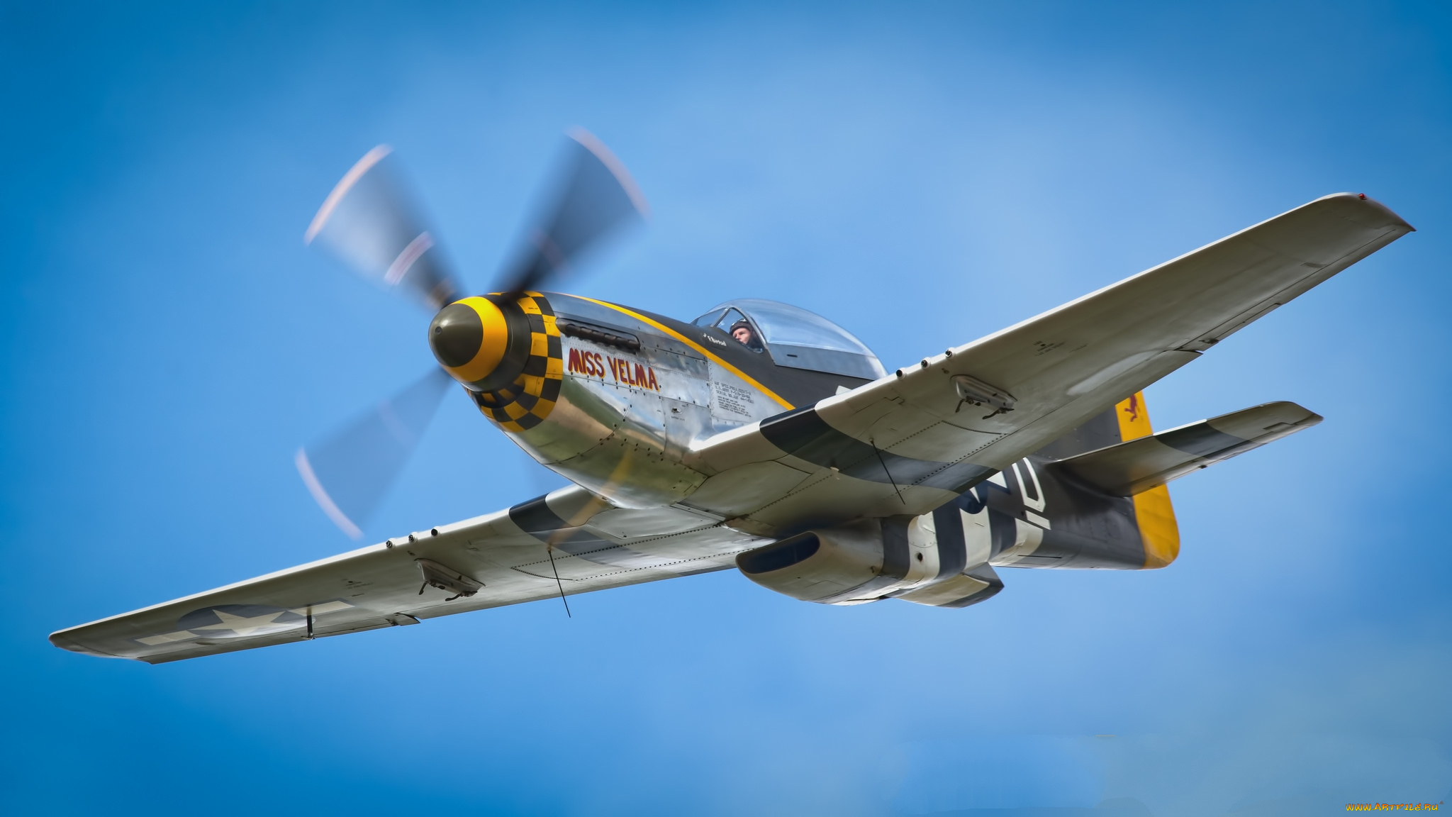 p-51d, mustang, авиация, боевые, самолёты, ввс