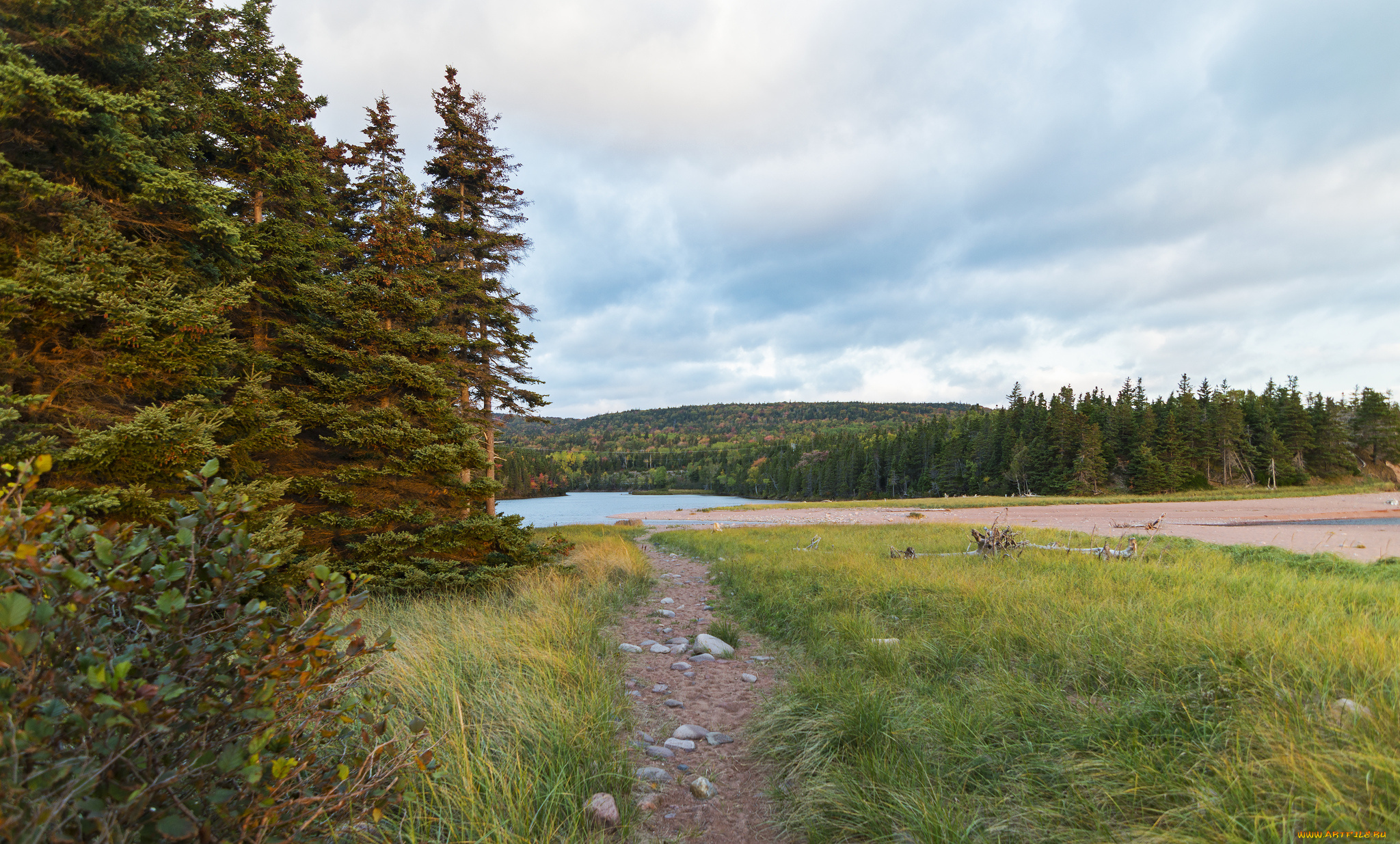 природа, пейзажи, простор