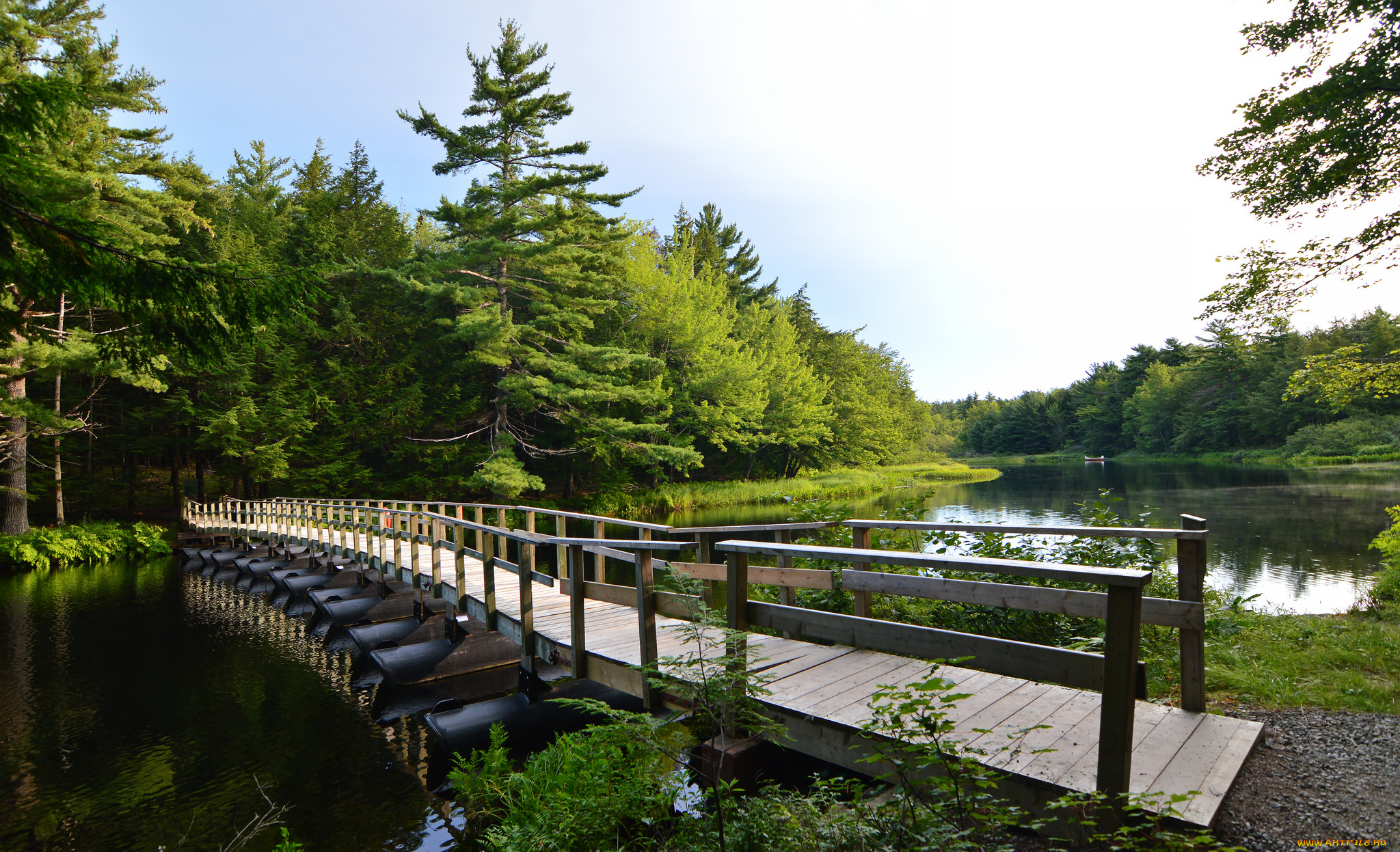 природа, реки, озера, простор