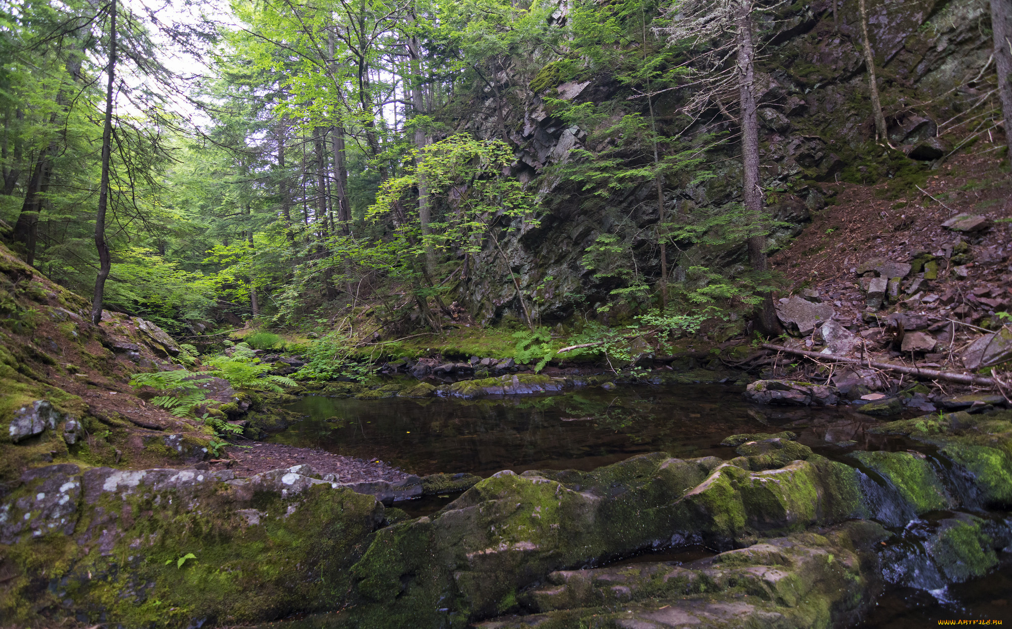 природа, реки, озера, простор