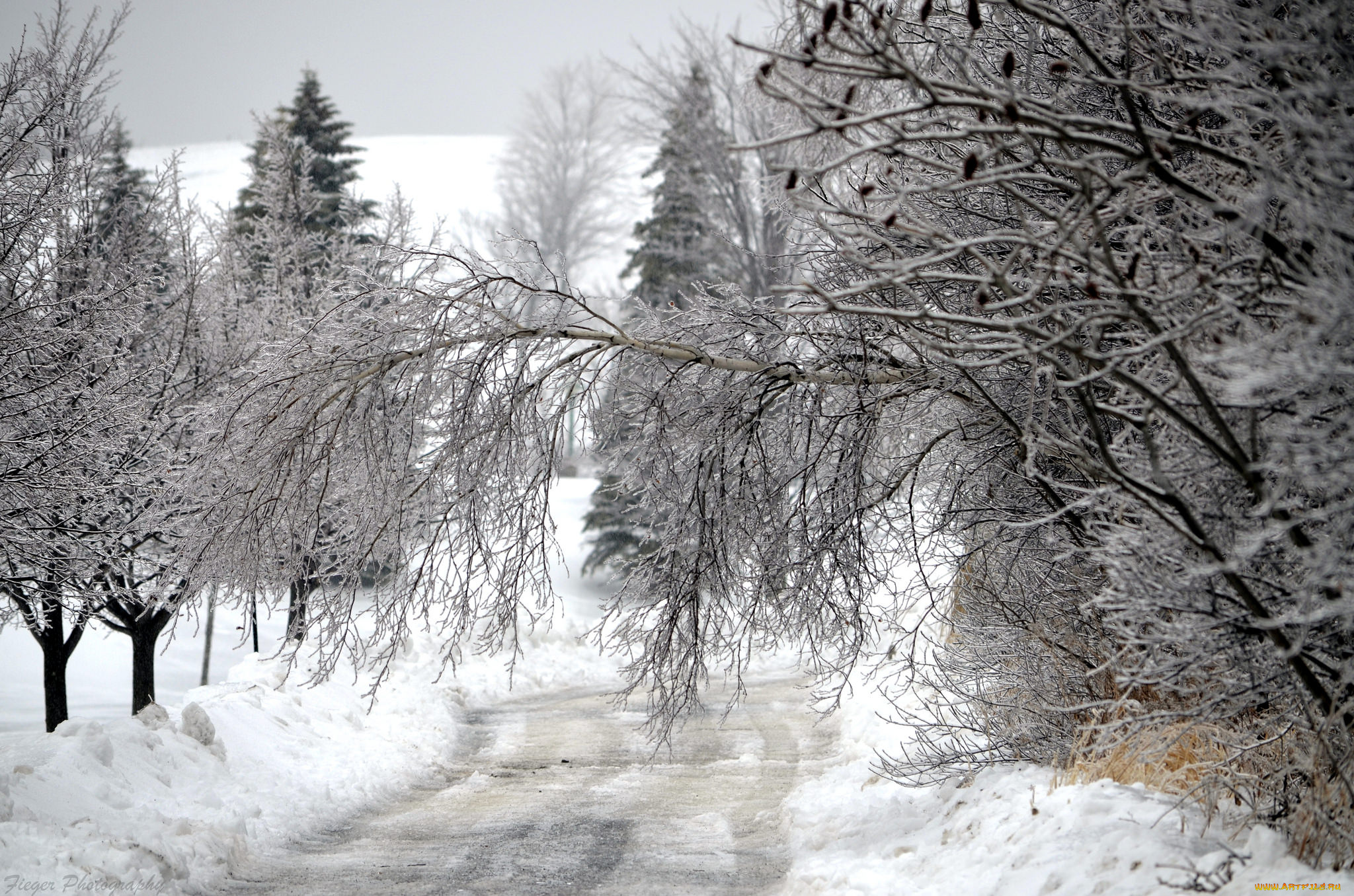 природа, зима, простор