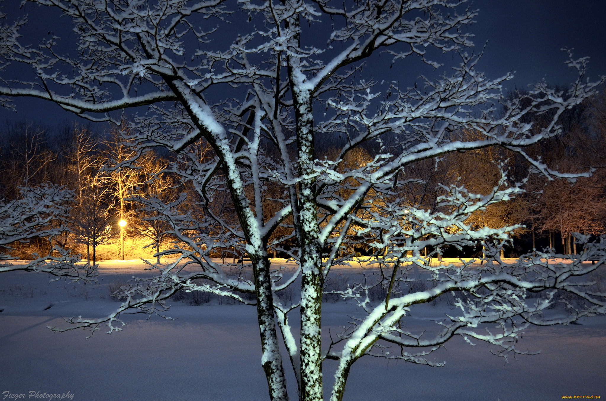 природа, зима, простор