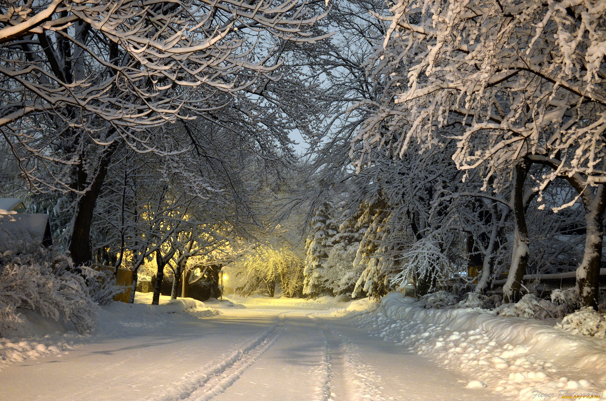 природа, зима, простор