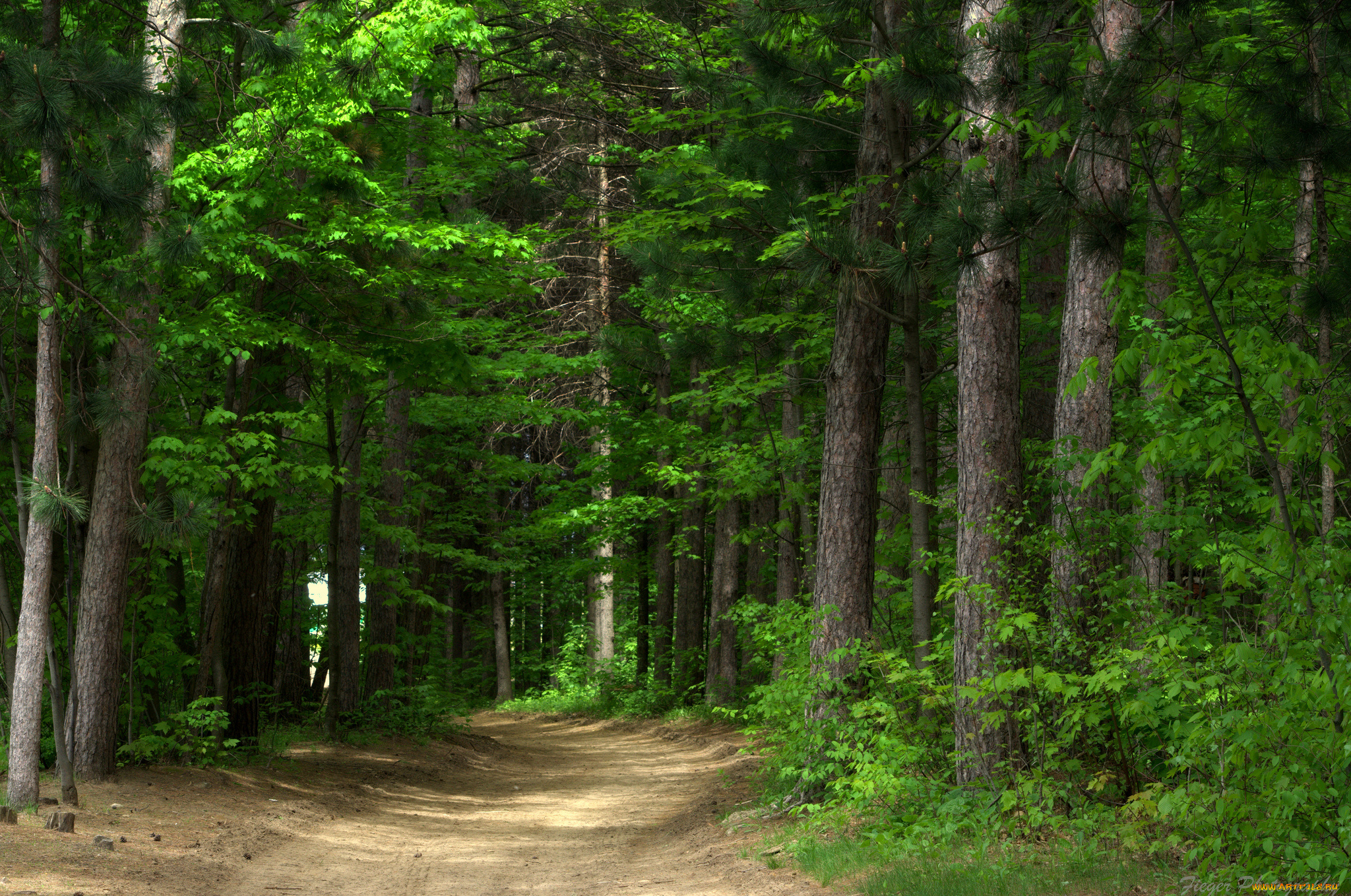 природа, дороги, простор