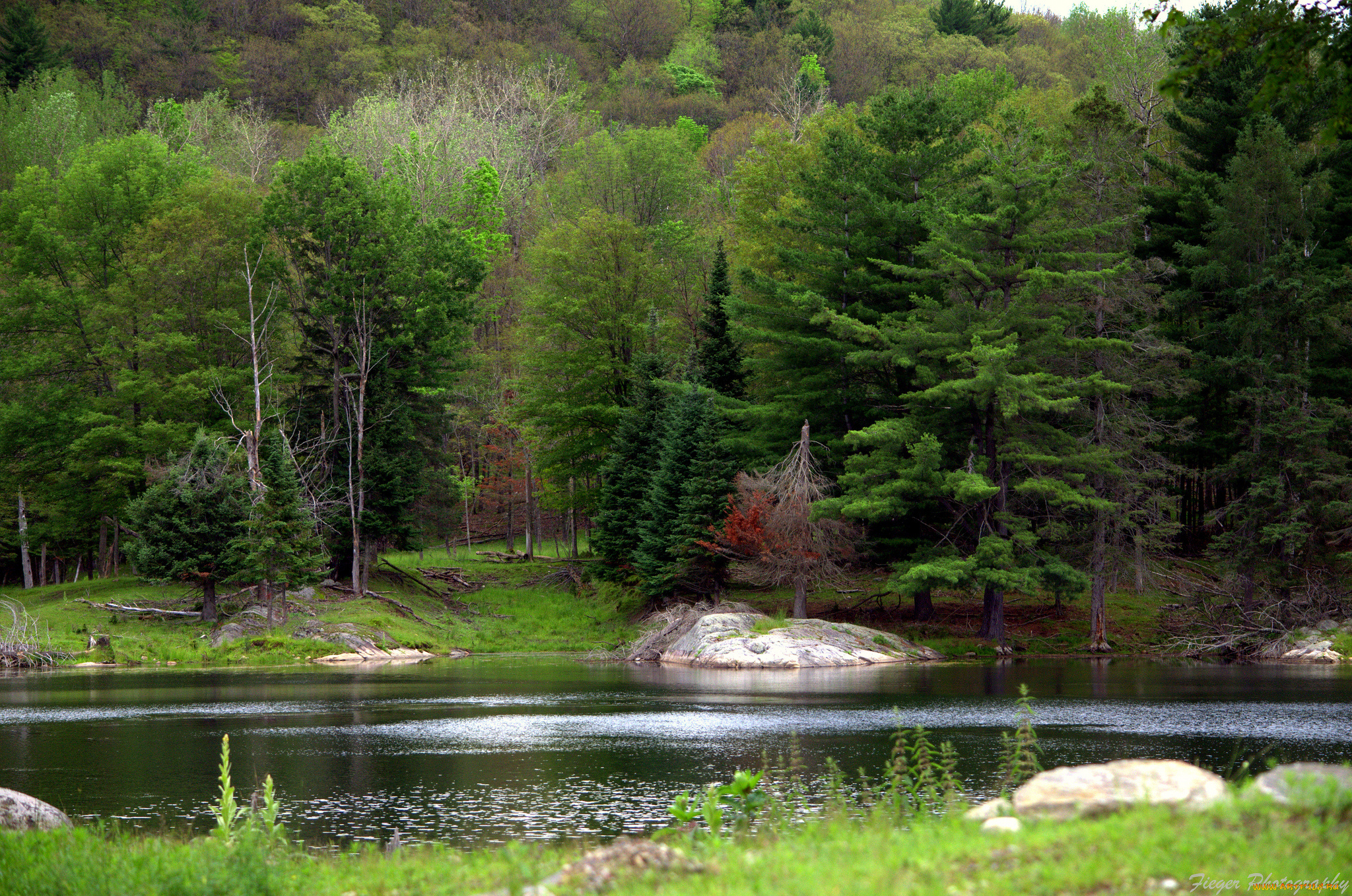 природа, реки, озера, простор