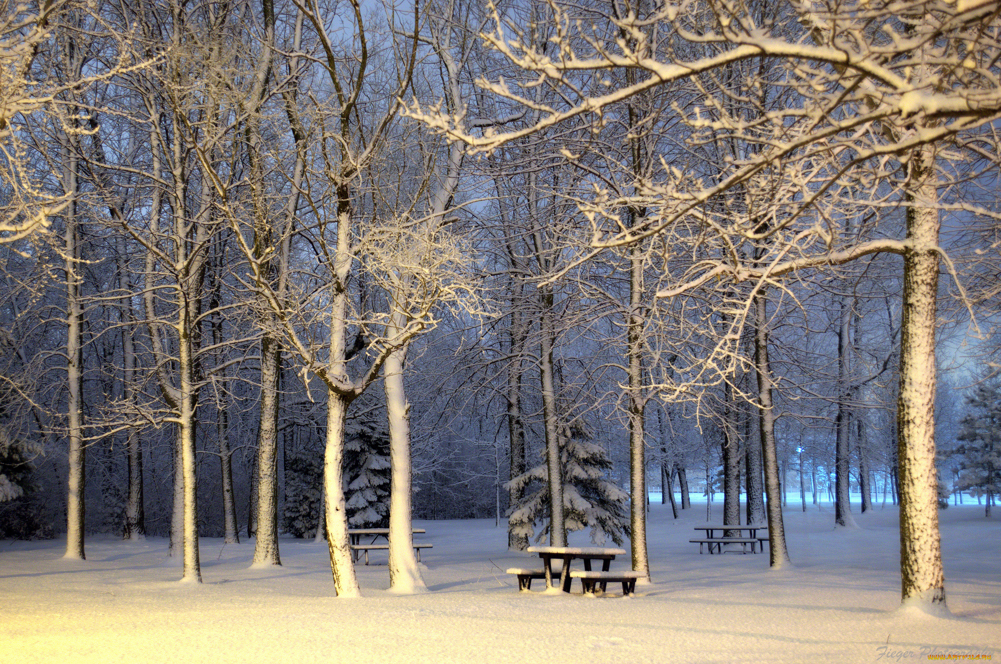 природа, зима, простор