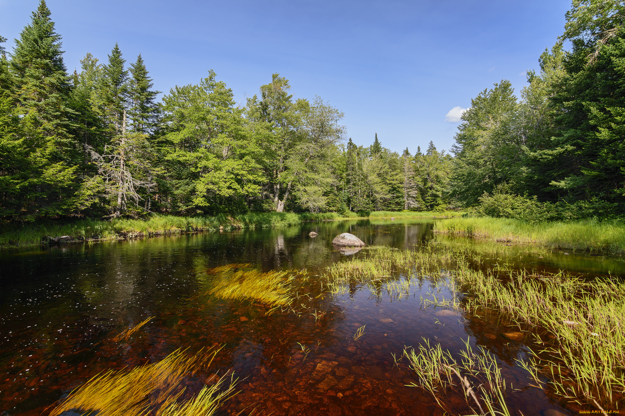 природа, реки, озера, простор