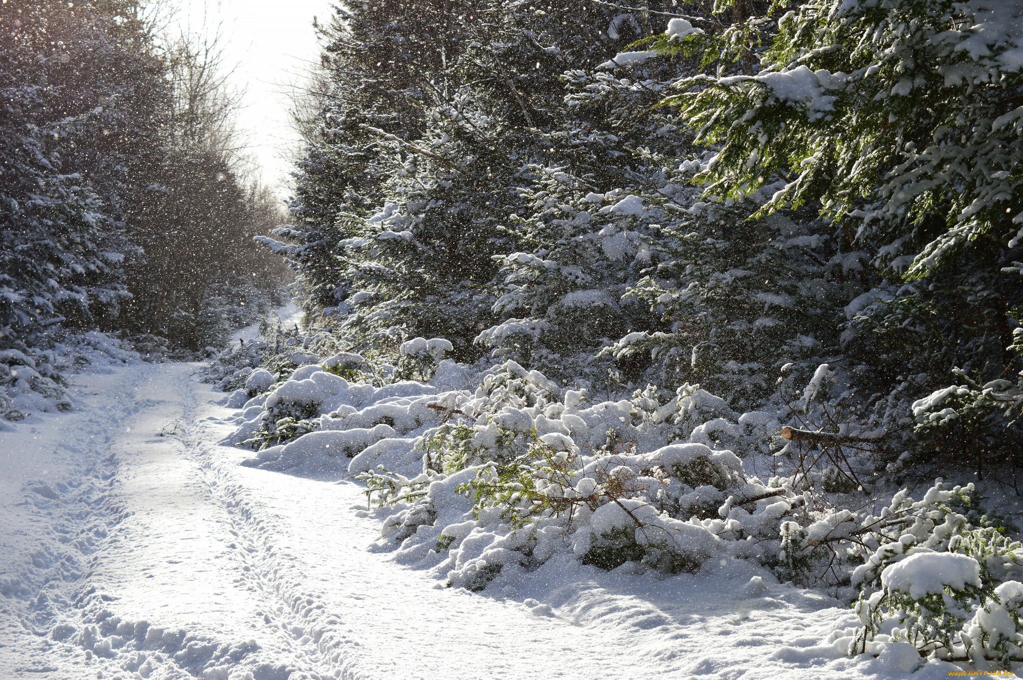 природа, зима, простор