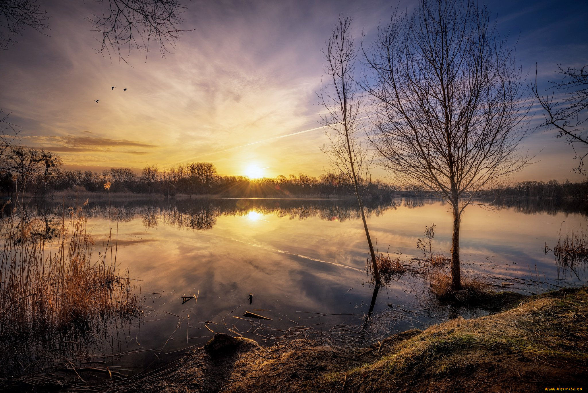 природа, восходы, закаты, простор