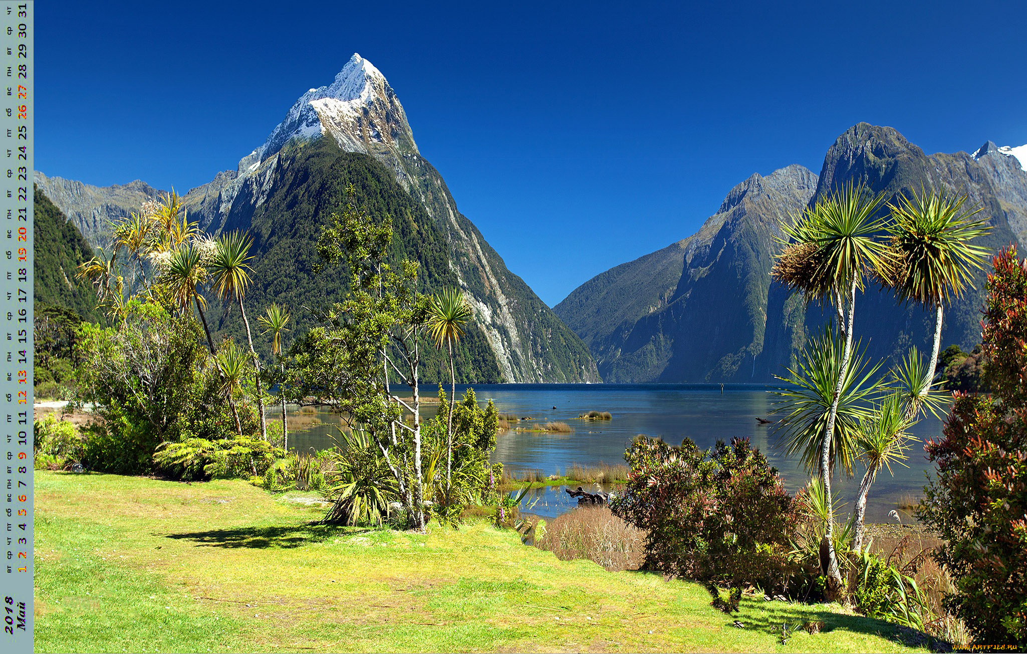 календари, природа, деревья, скала, пальма, водоем