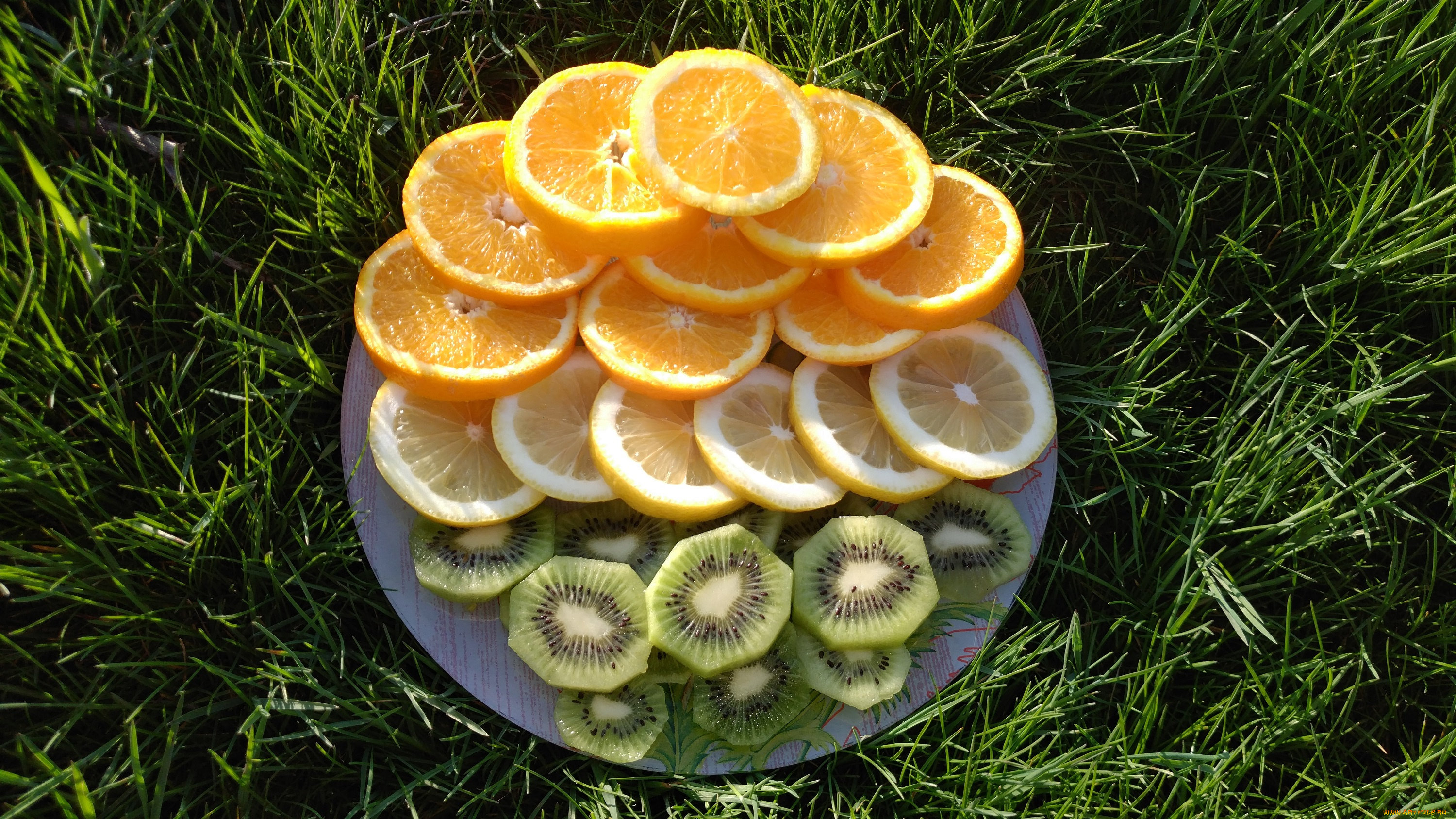 еда, цитрусы, кольца, трава