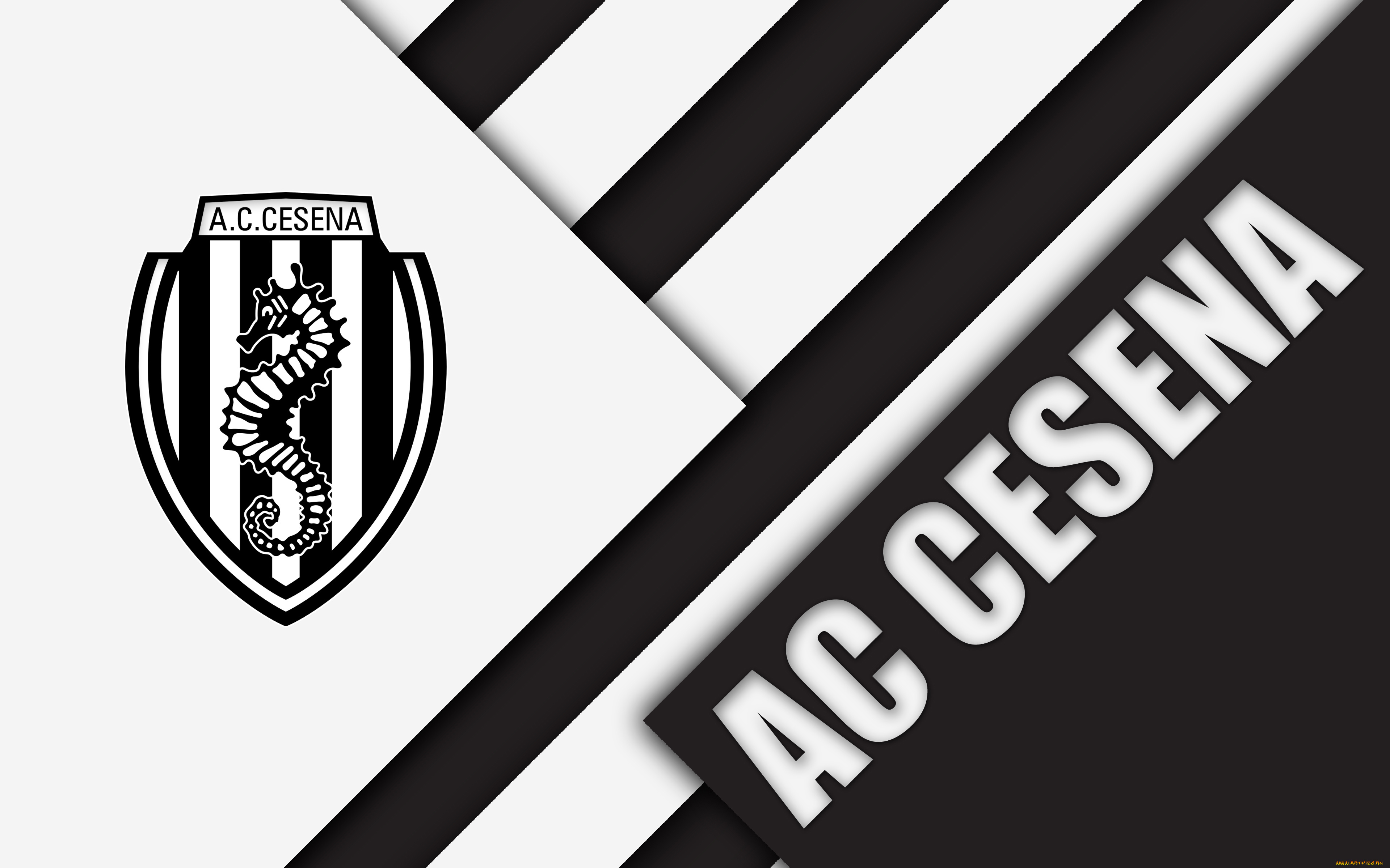 спорт, эмблемы, клубов, фон, логотип