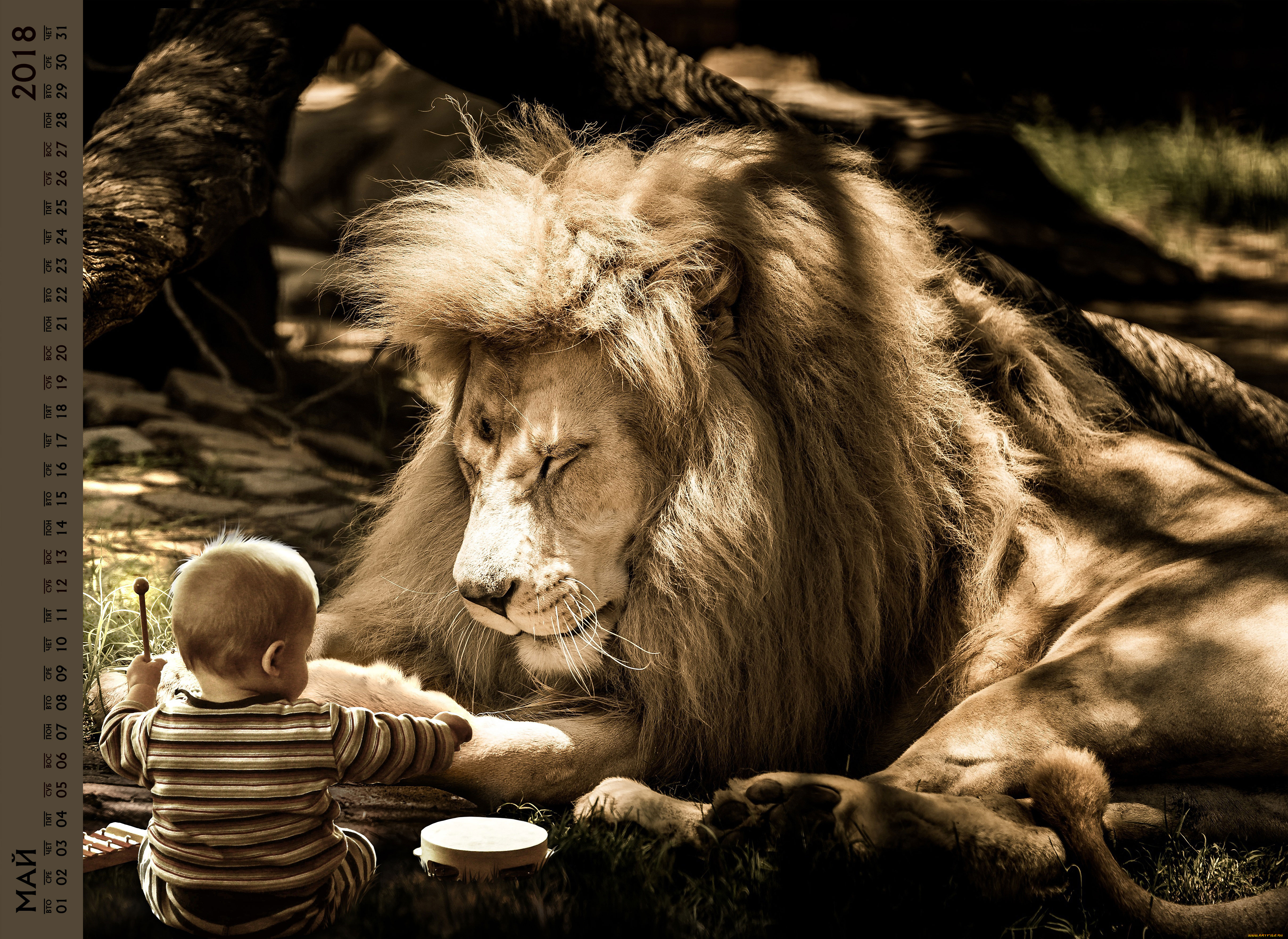 календари, компьютерный, дизайн, ребенок, лев