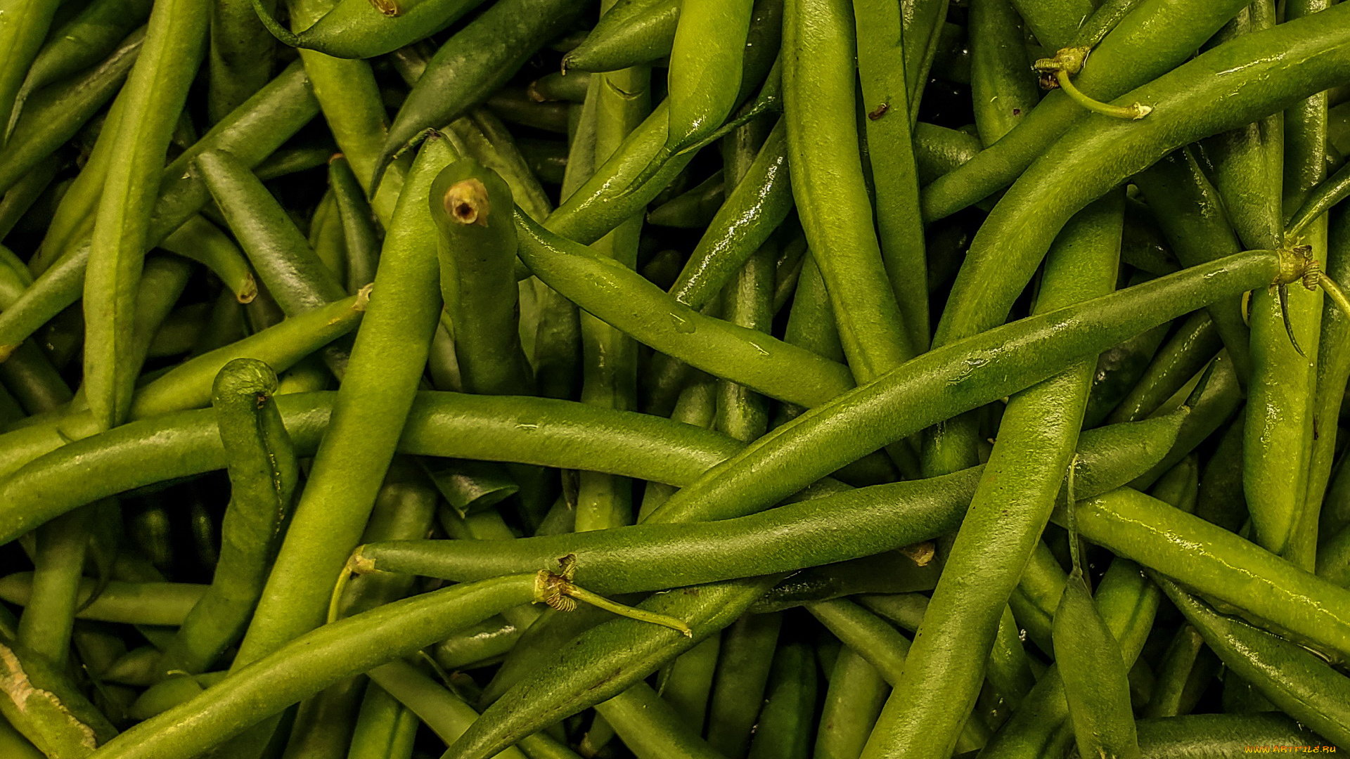 еда, бобовые, фасоль