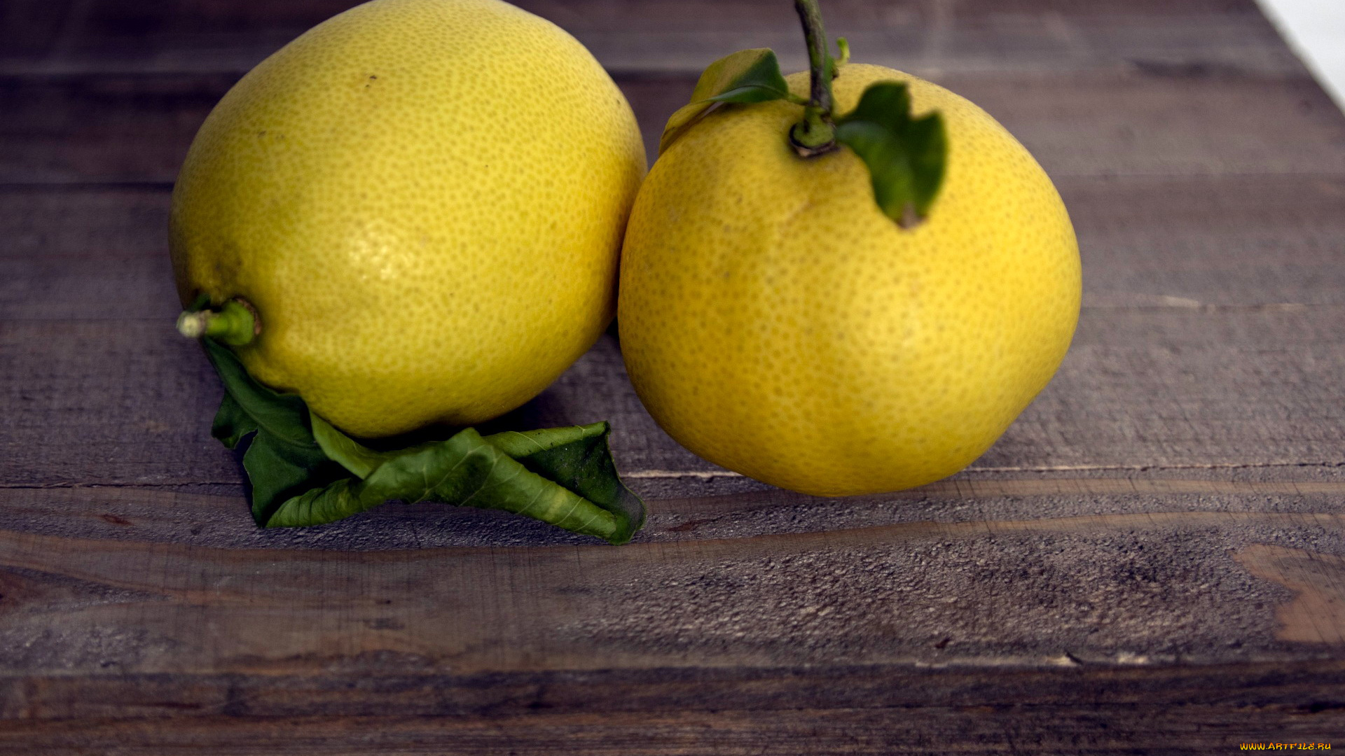 еда, цитрусы, лимоны