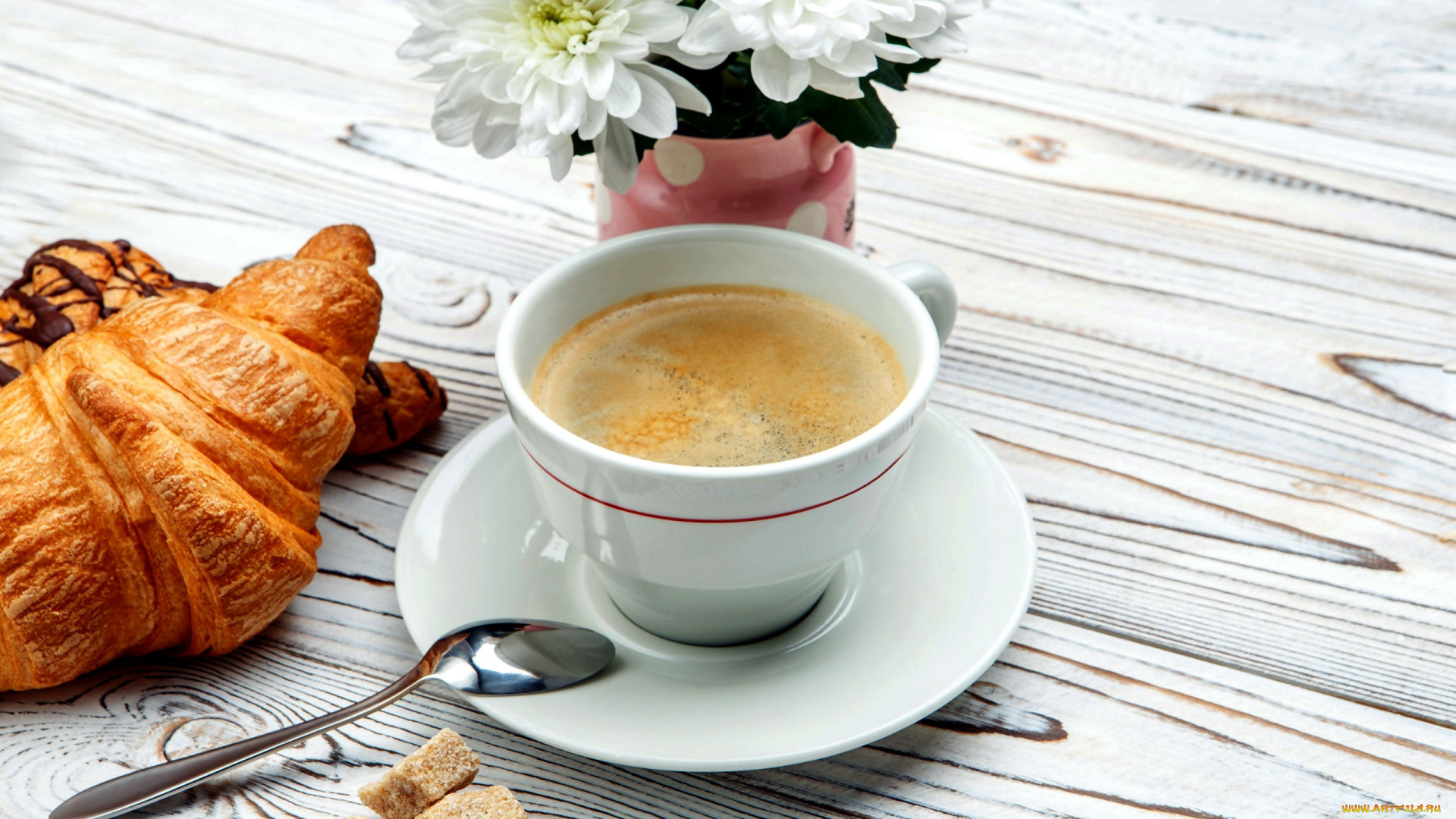 еда, кофе, , кофейные, зёрна