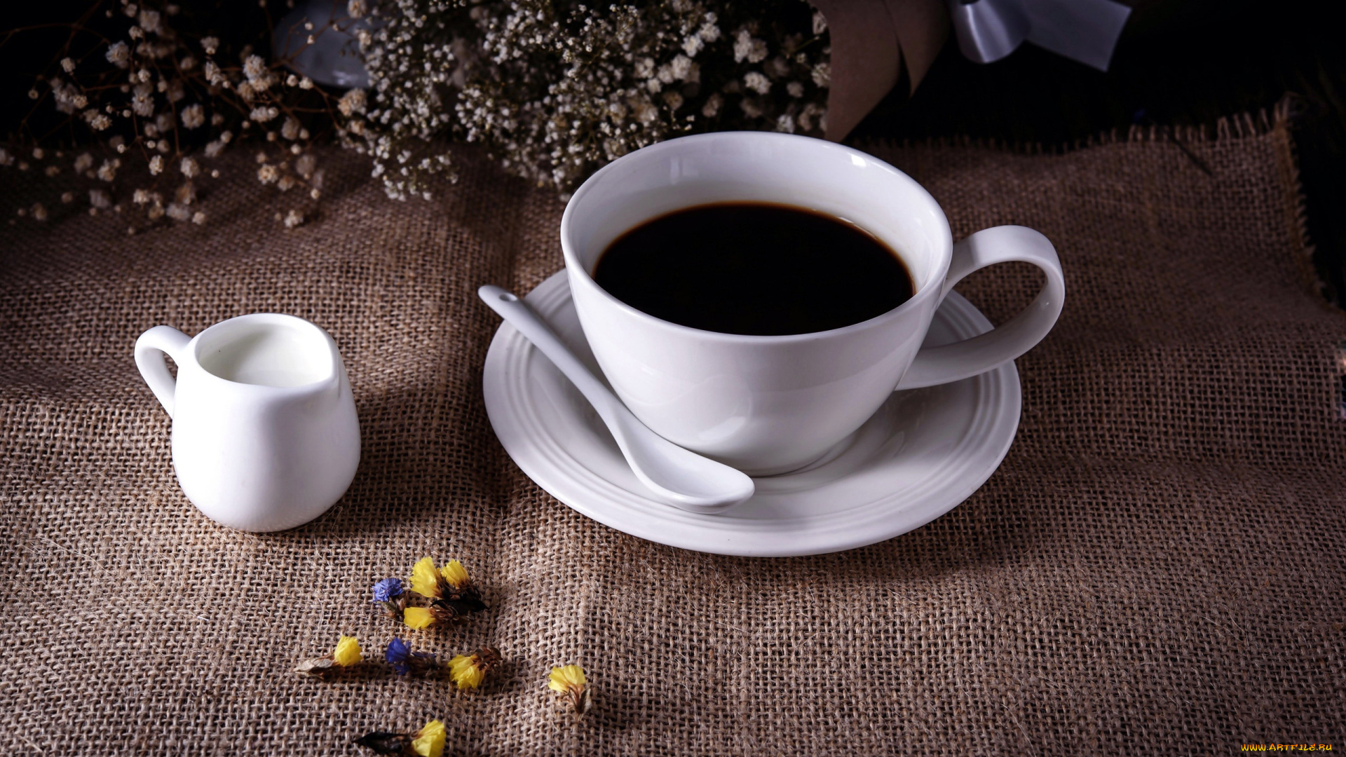 еда, кофе, , кофейные, зёрна