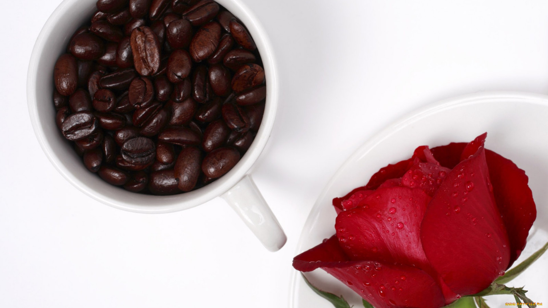 еда, кофе, , кофейные, зёрна, чашка, красная, роза, цветок, зерна