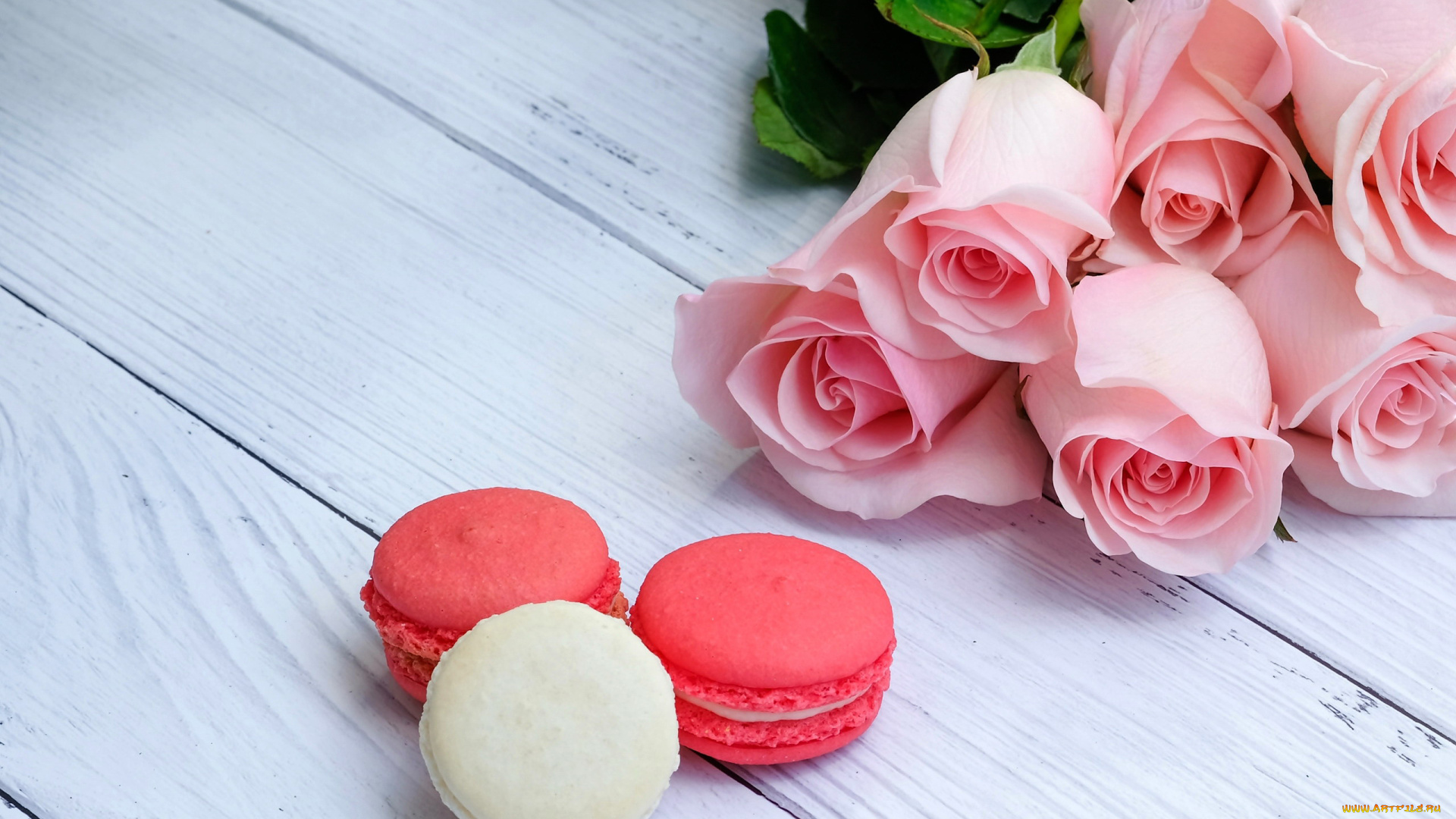 еда, макаруны, розы