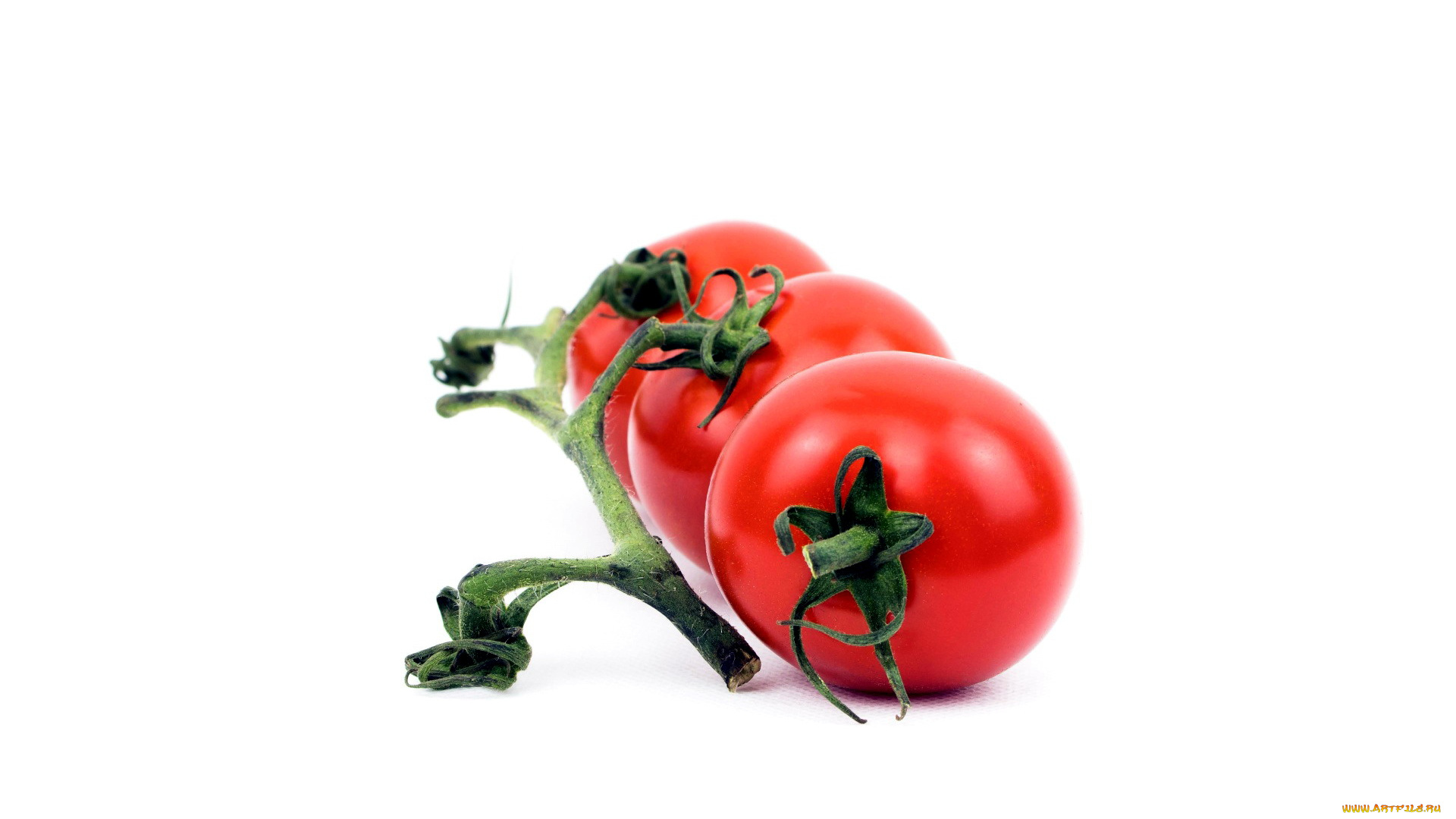 еда, помидоры, томаты