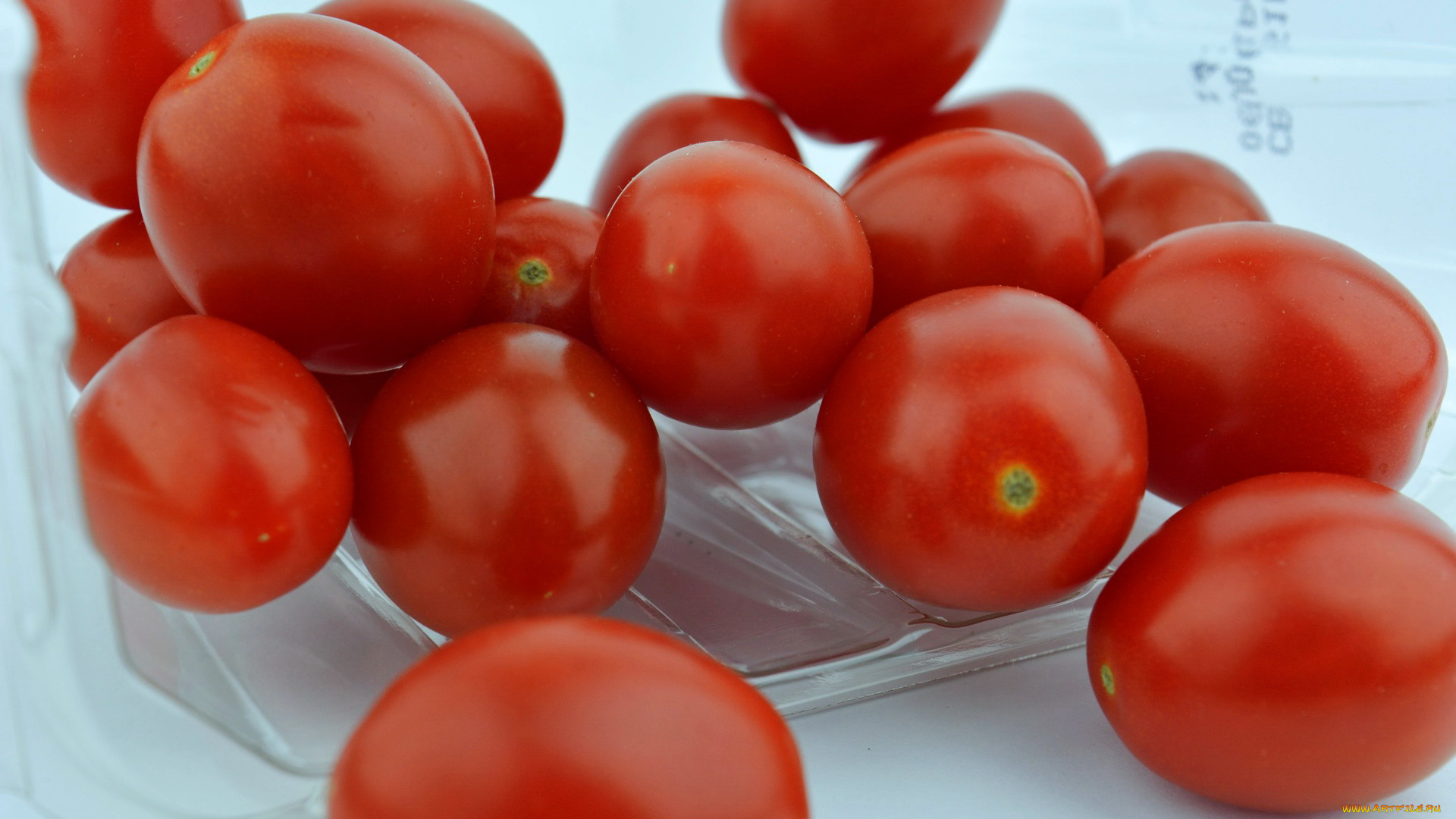 еда, помидоры, томаты