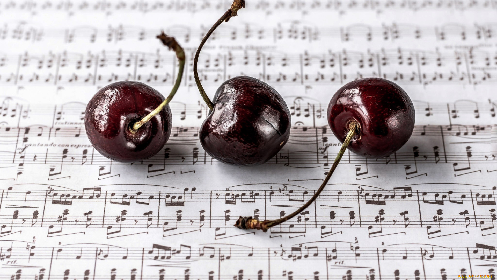 еда, вишня, , черешня, черешня