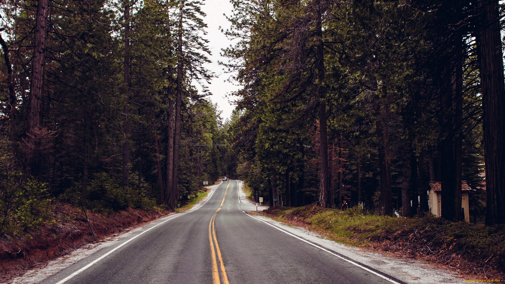 природа, дороги, шоссе