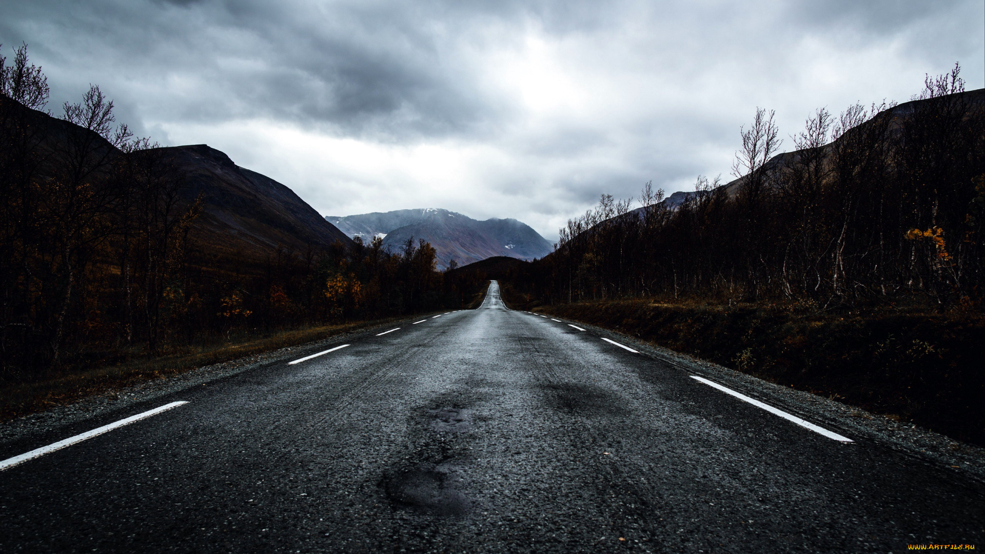 природа, дороги, шоссе