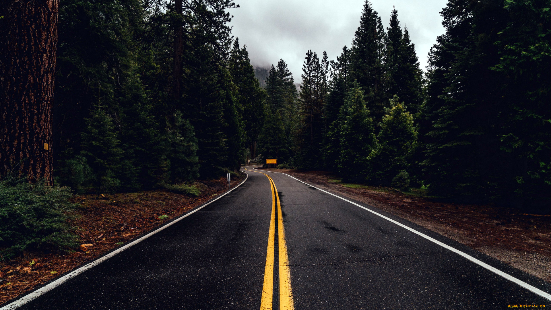 природа, дороги, шоссе