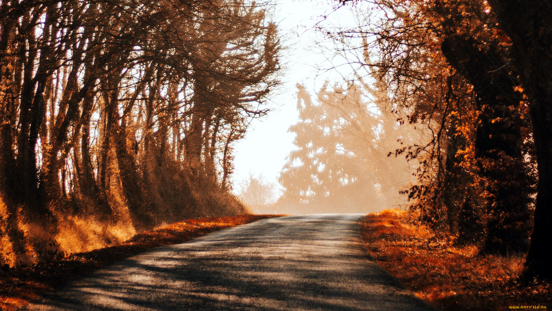 природа, дороги, шоссе