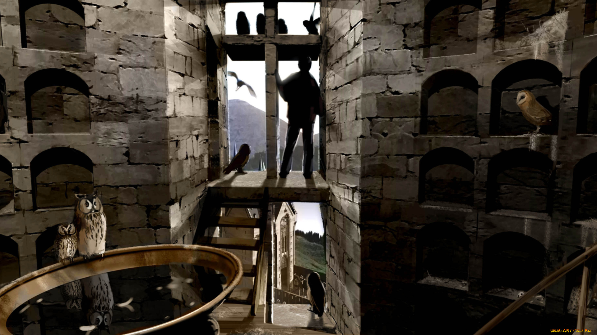 видео, игры, ~~~другое~~~, хогвардс, совятня, мальчик, совы