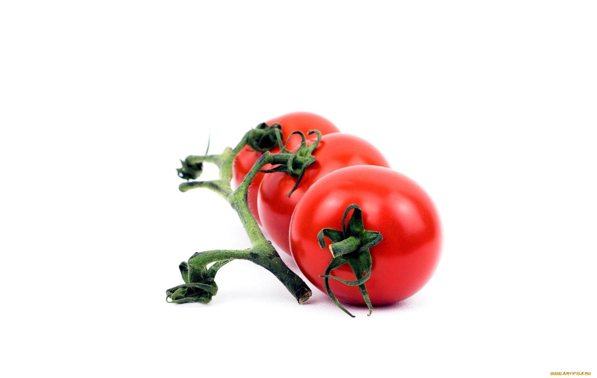 еда, помидоры, томаты