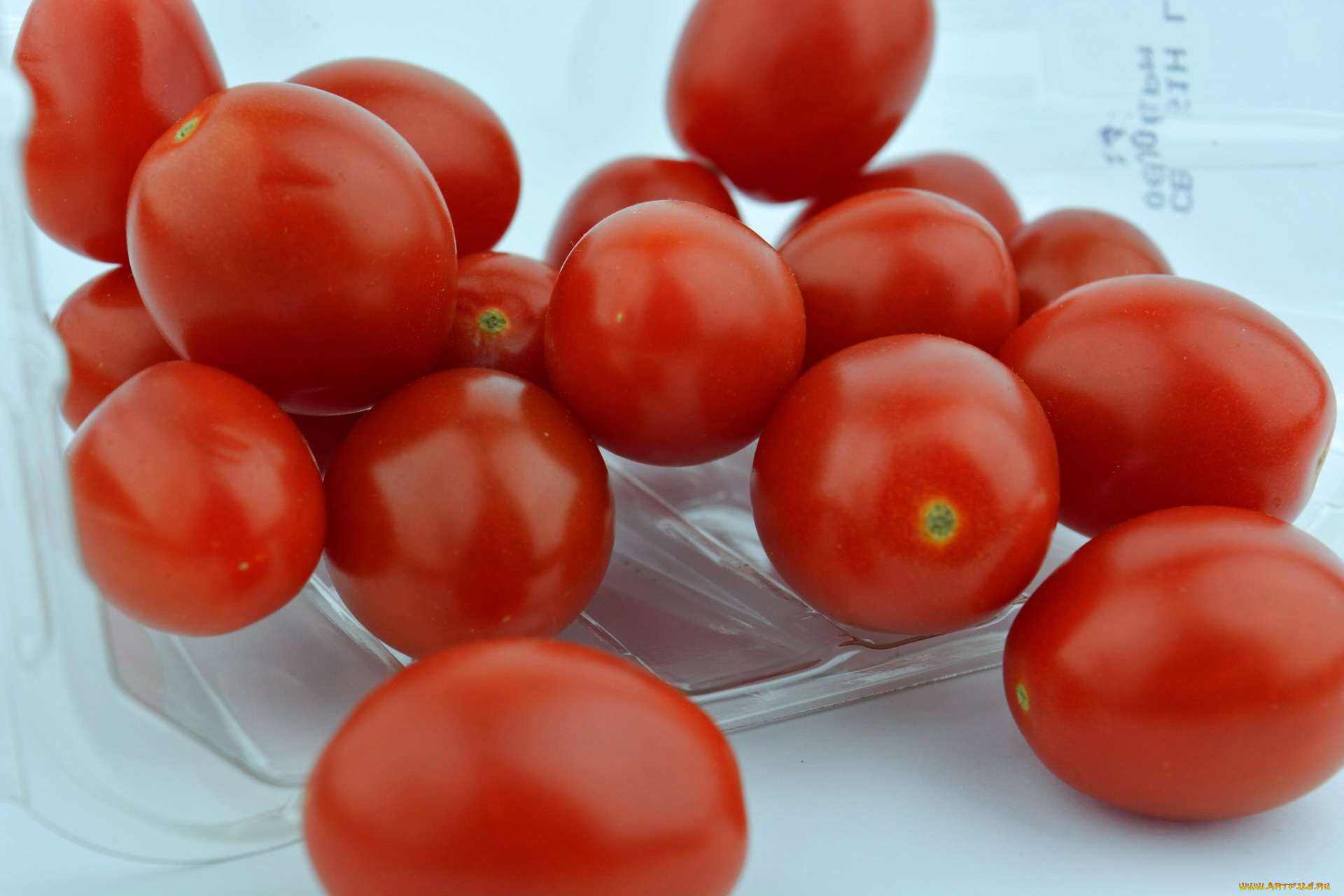 еда, помидоры, томаты