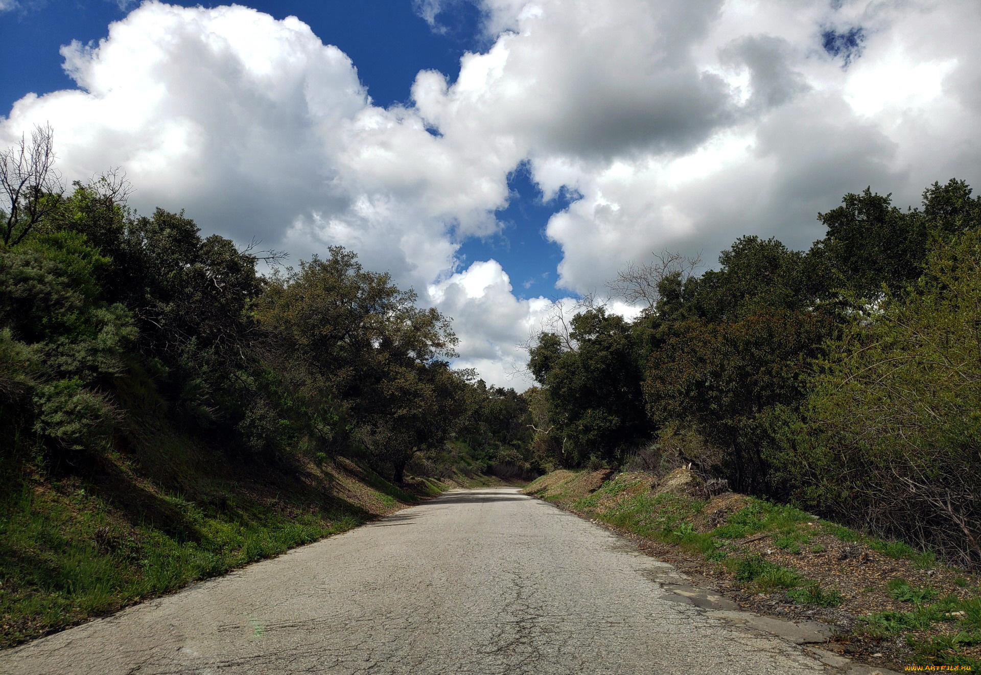 природа, дороги, шоссе