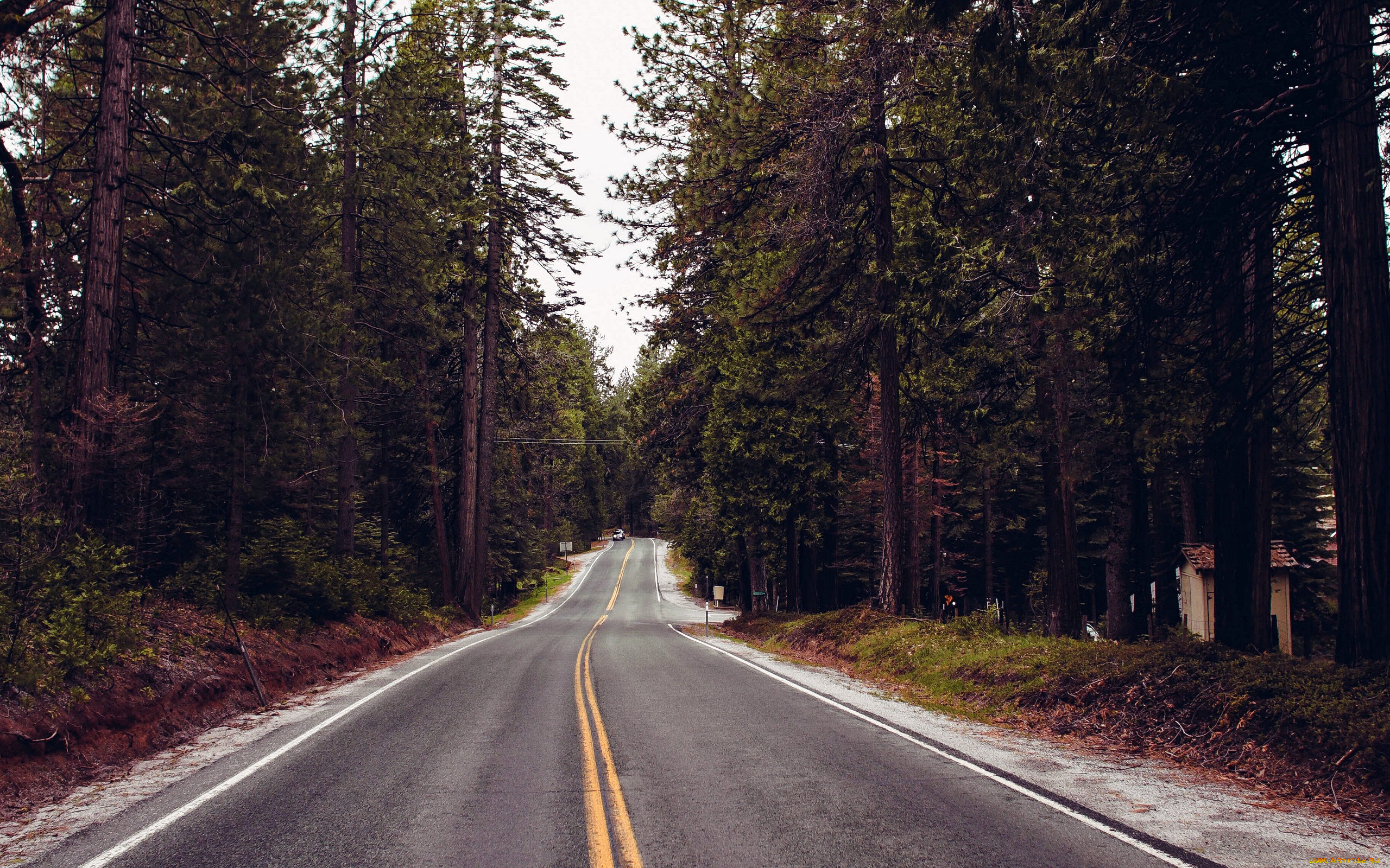 природа, дороги, шоссе