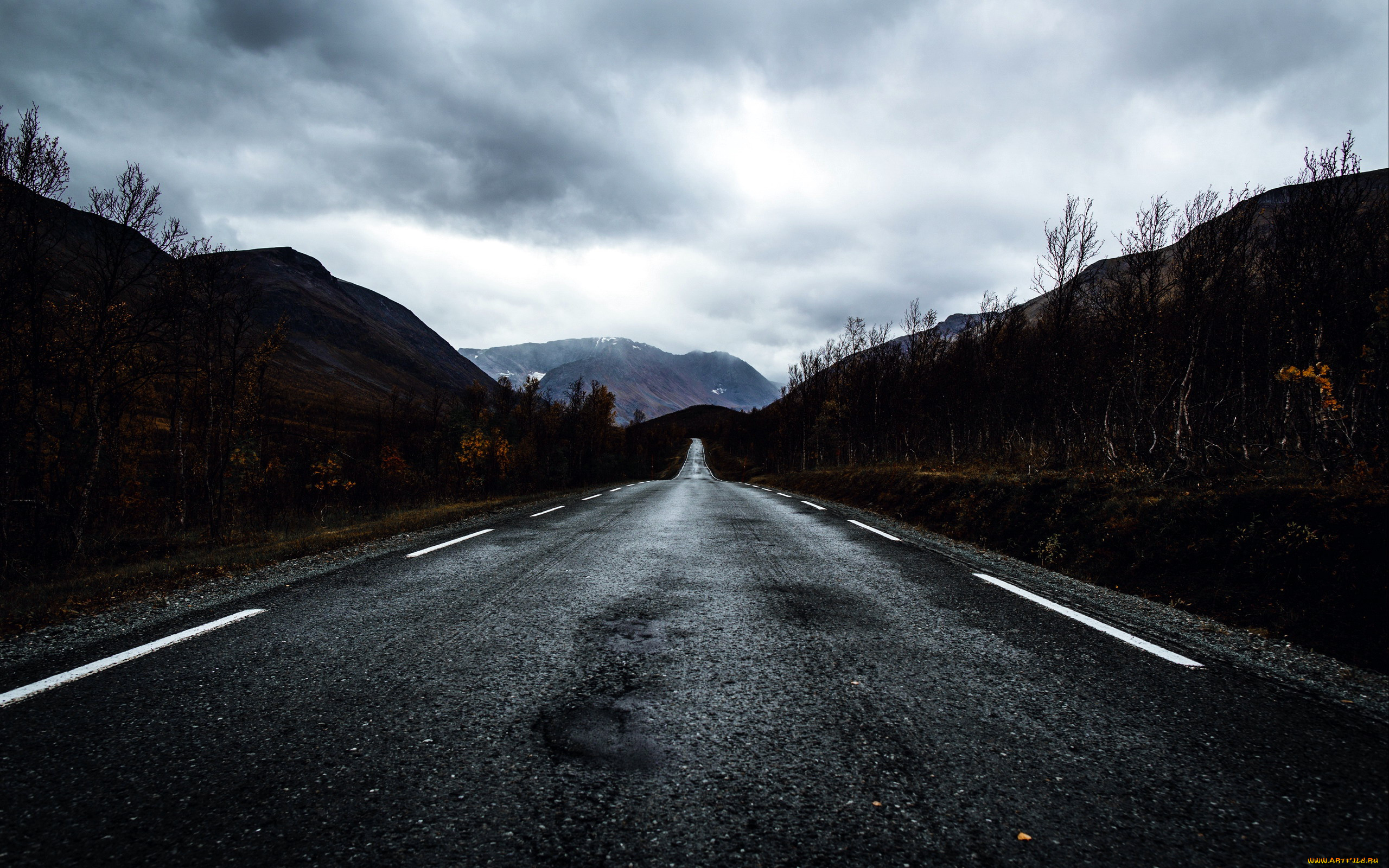 природа, дороги, шоссе