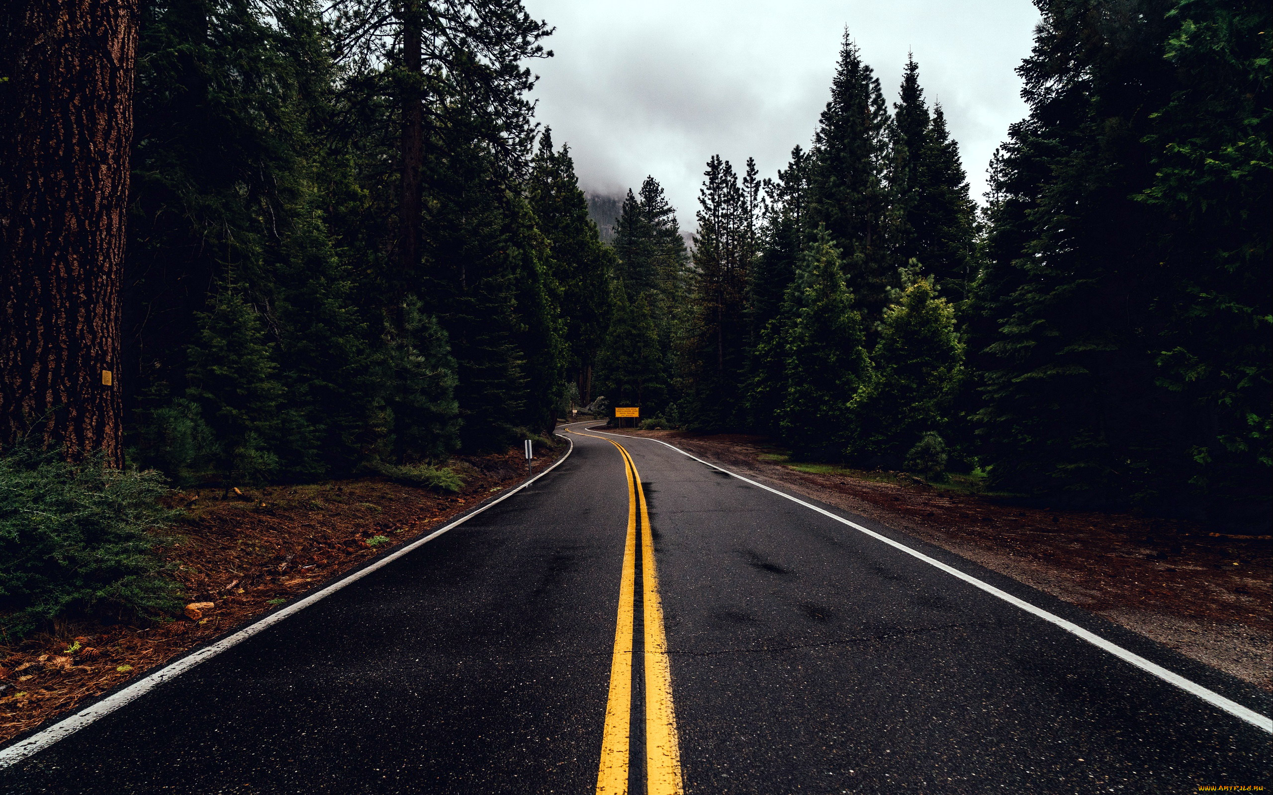 природа, дороги, шоссе