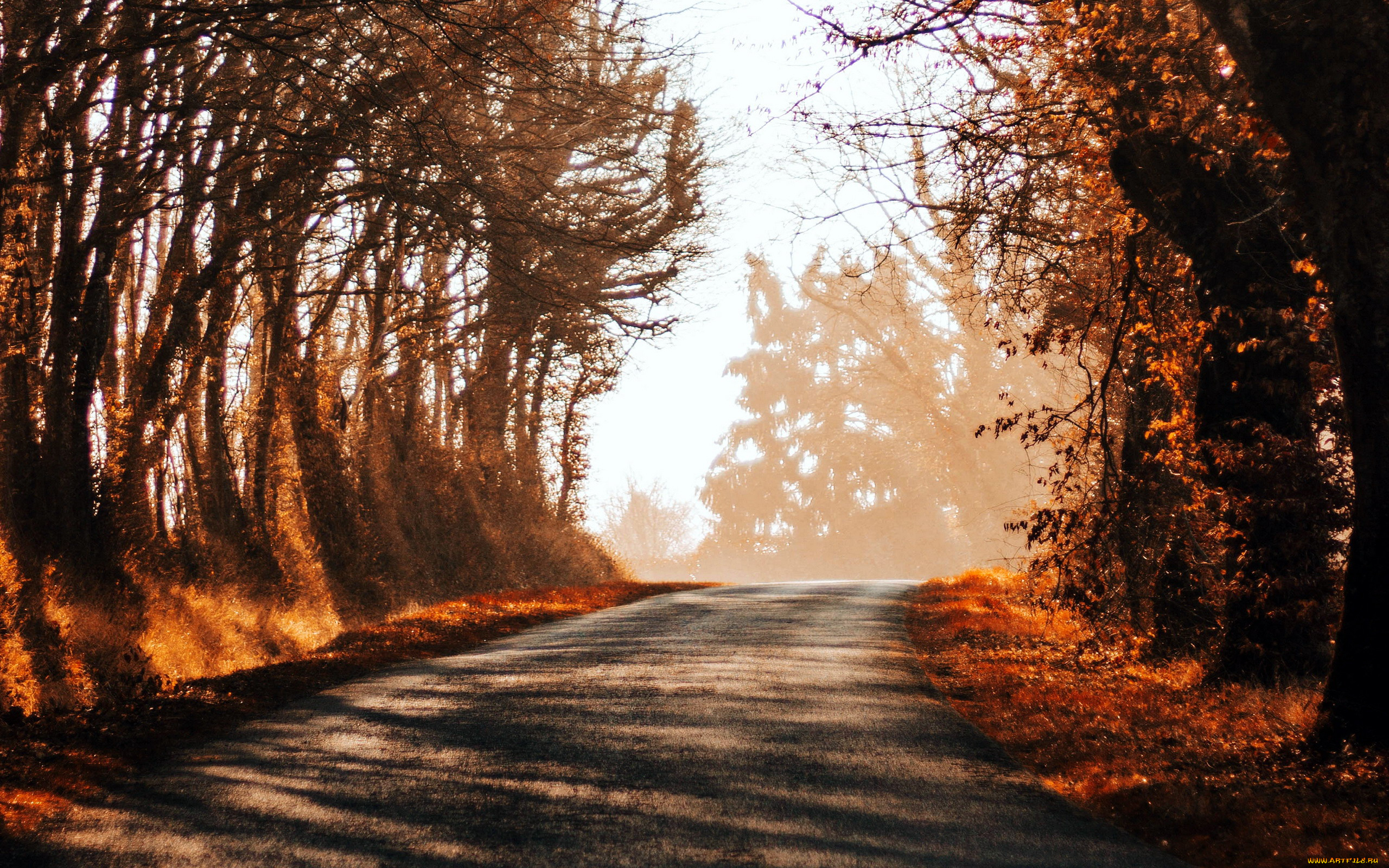 природа, дороги, шоссе