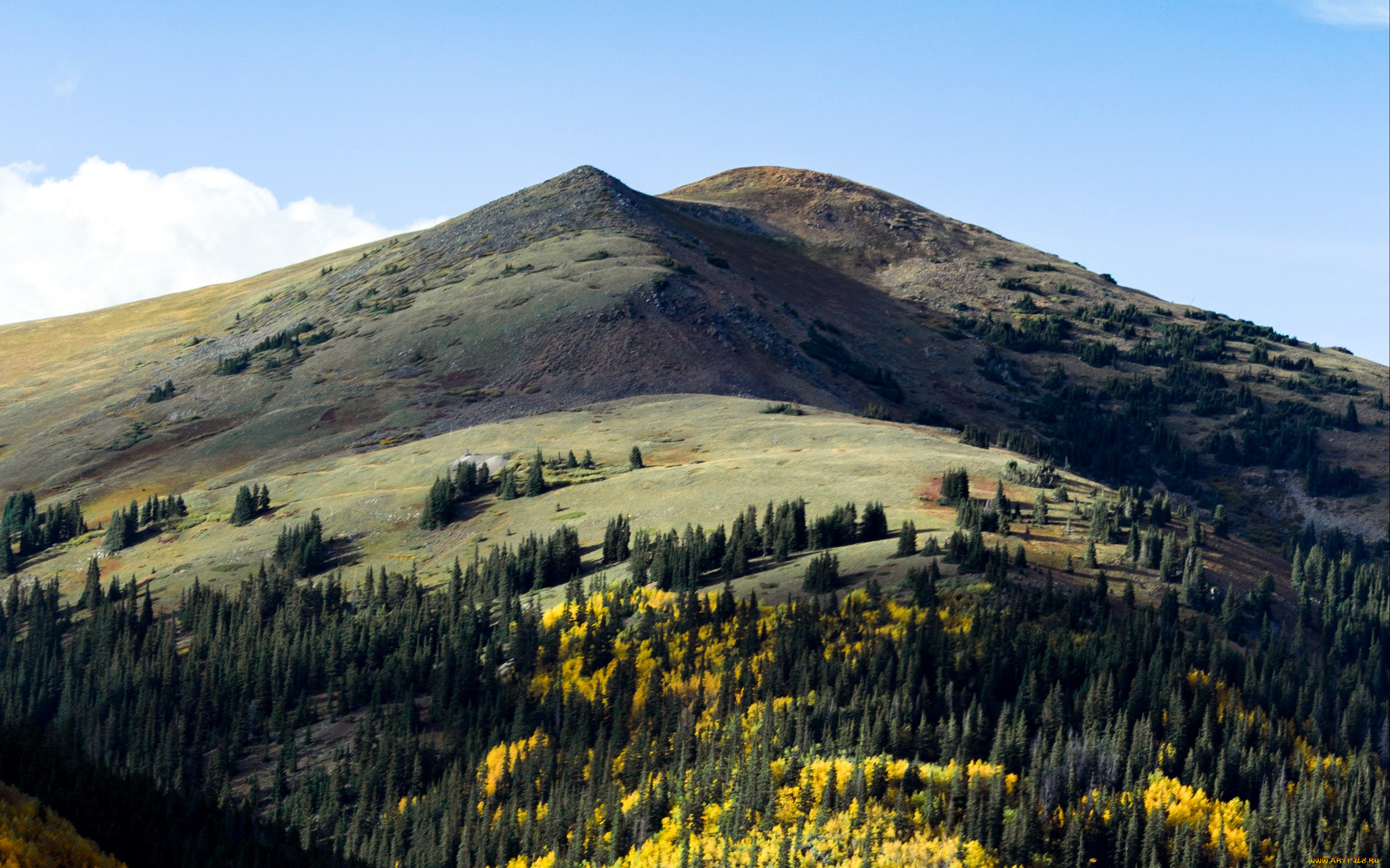 природа, горы, лес