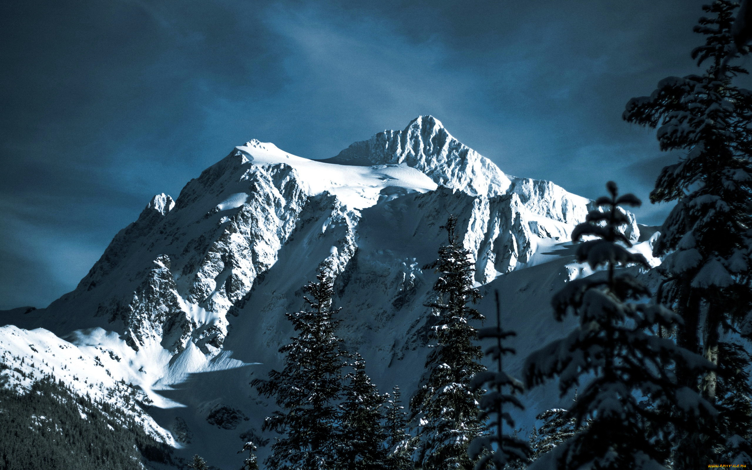 природа, листья, осень