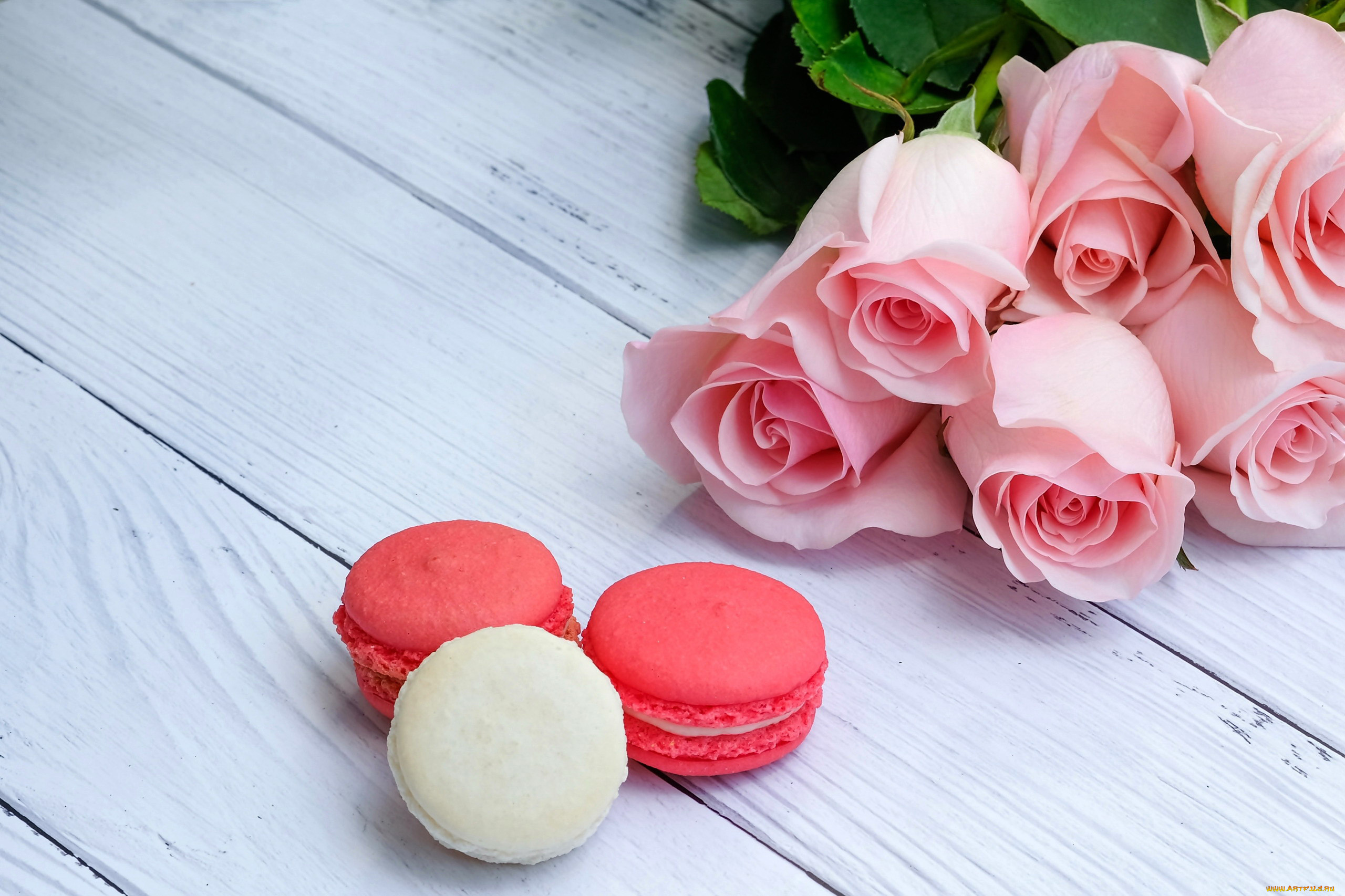 еда, макаруны, розы