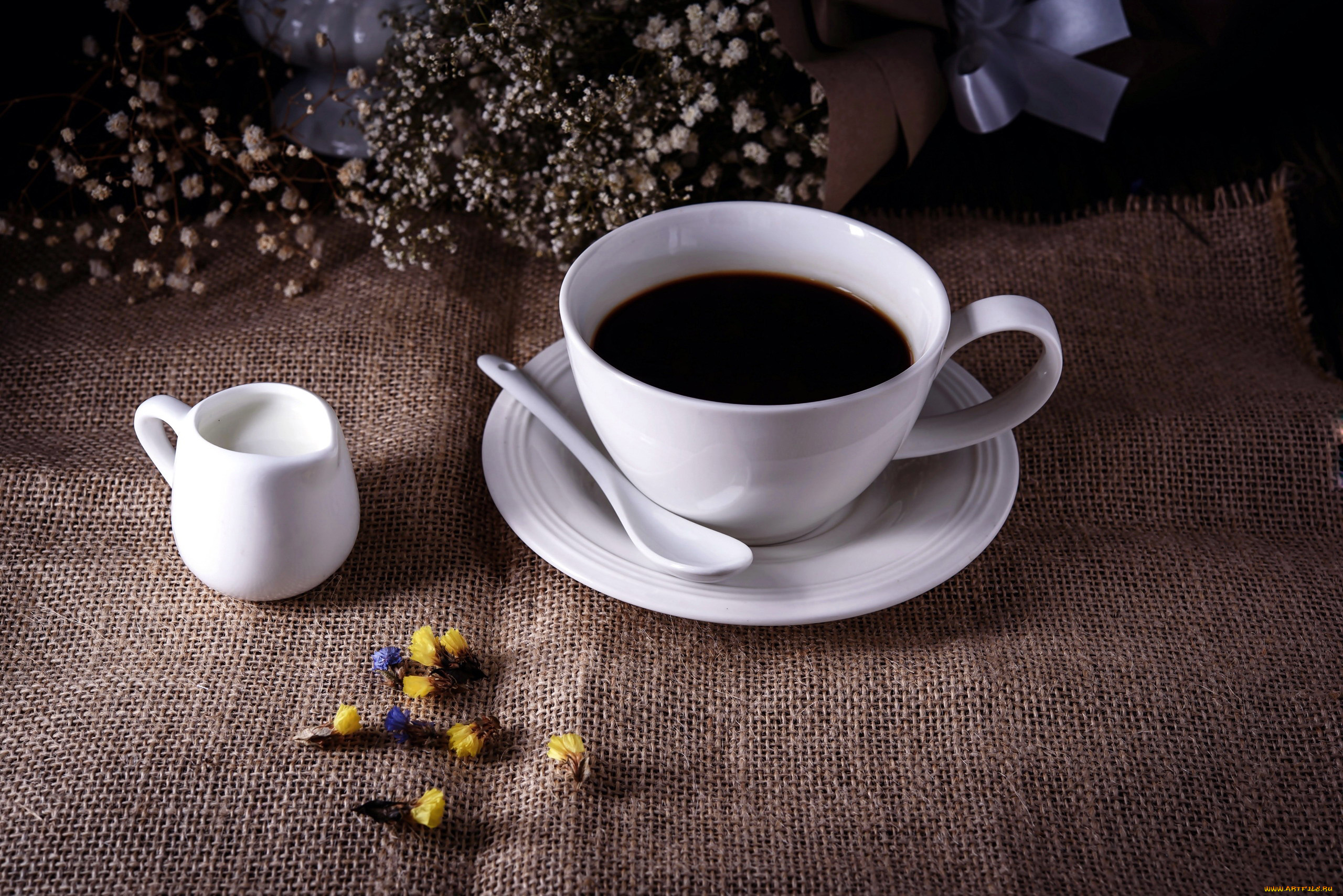 еда, кофе, , кофейные, зёрна