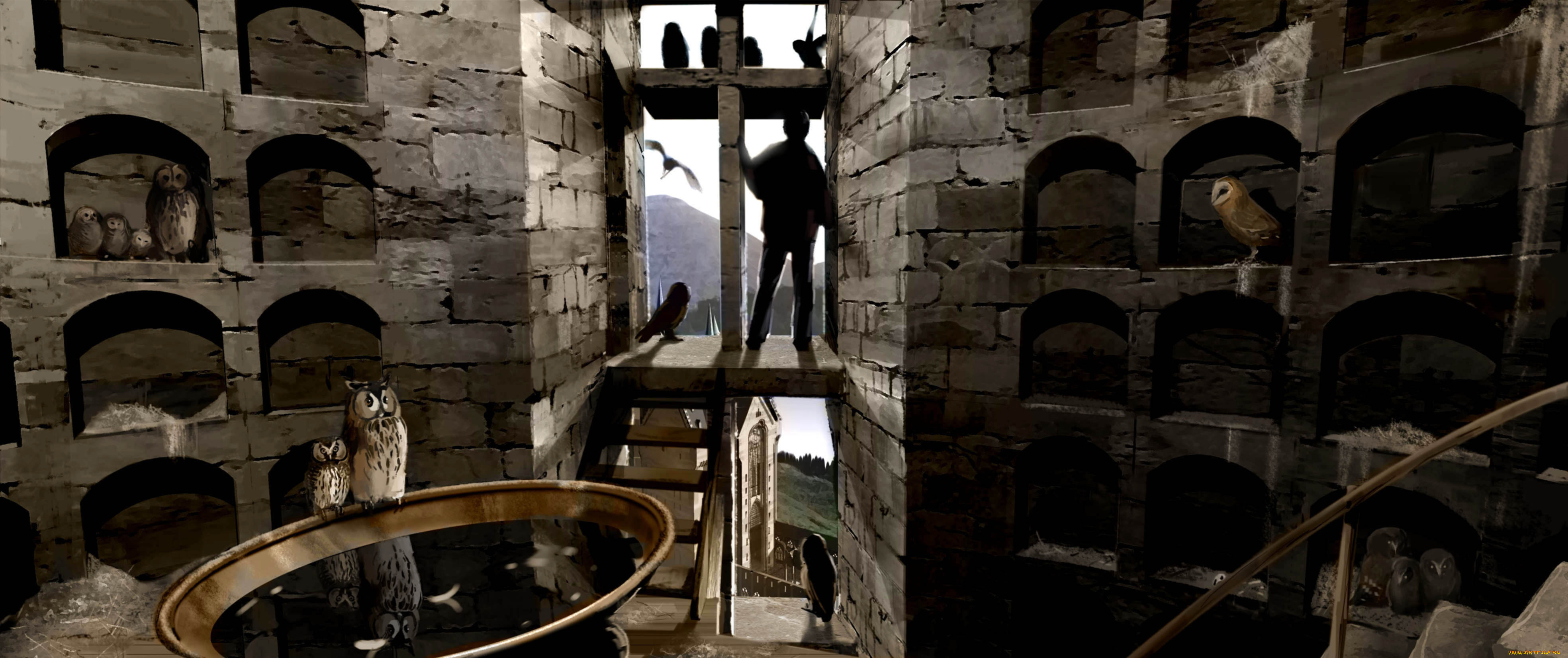 видео, игры, ~~~другое~~~, хогвардс, совятня, мальчик, совы