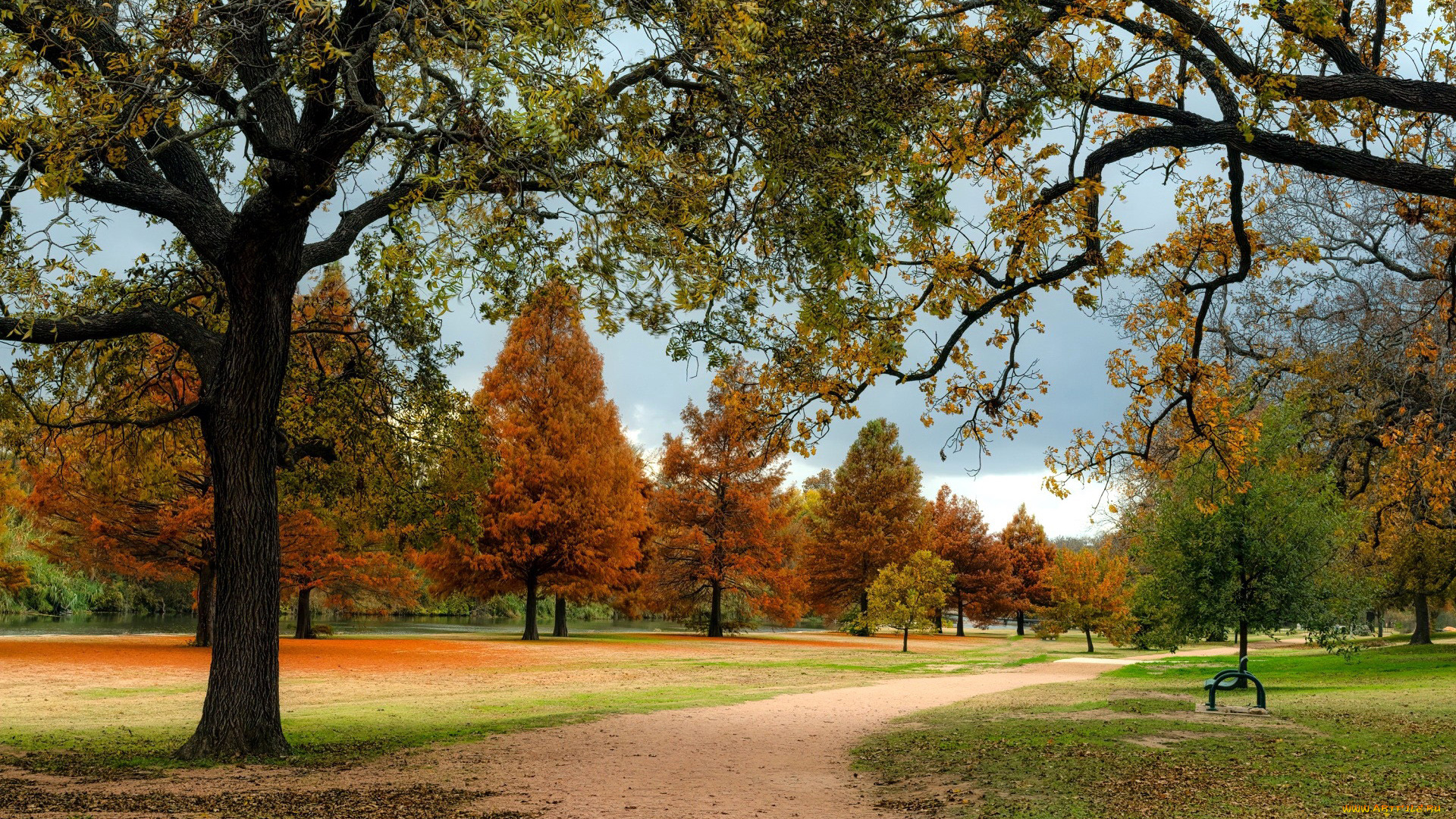 природа, парк, аллея, деревья, осень